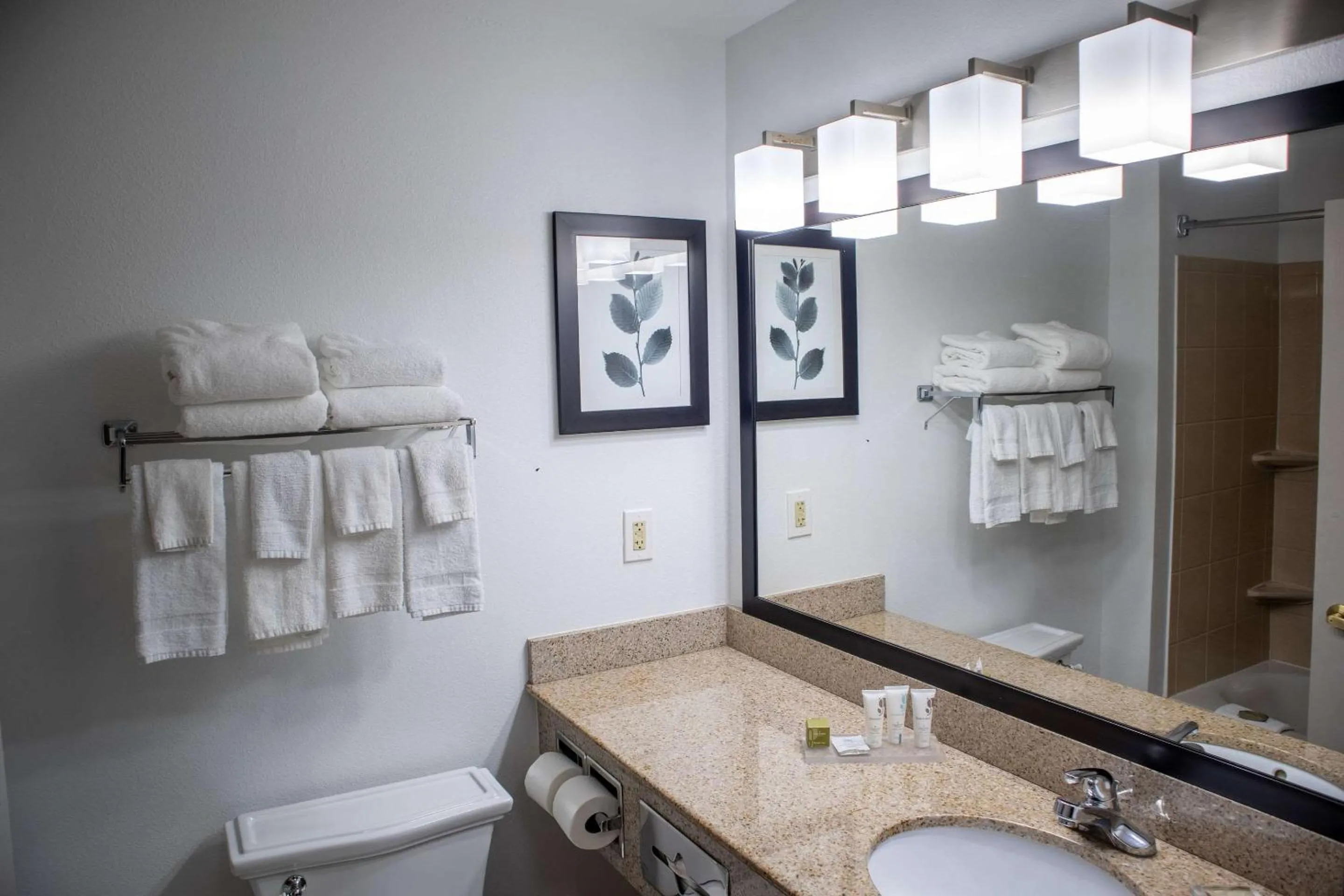 Bedroom in Country Inn & Suites by Radisson, Wilmington, NC