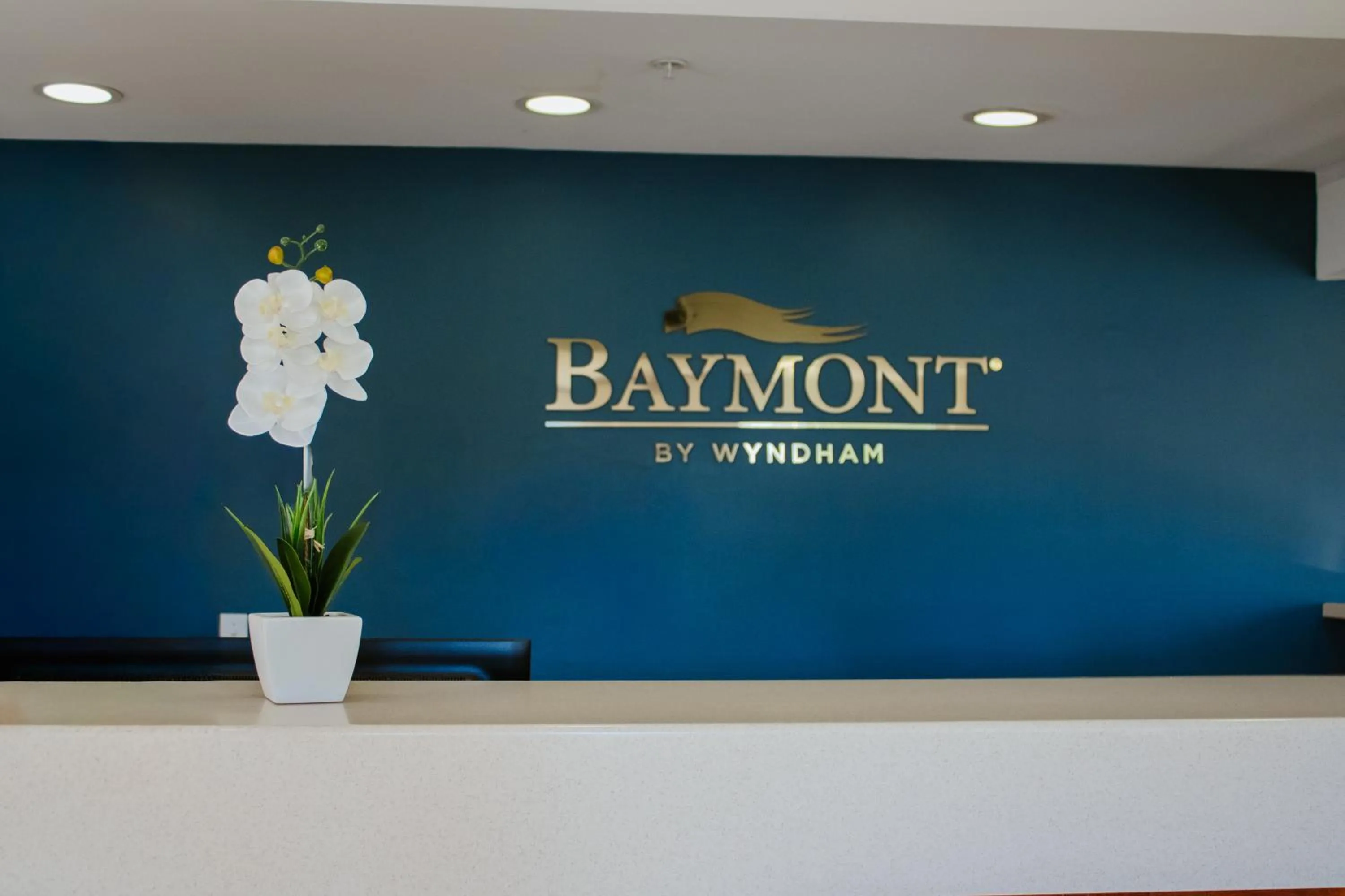 Lobby or reception in Baymont by Wyndham Howell/Brighton