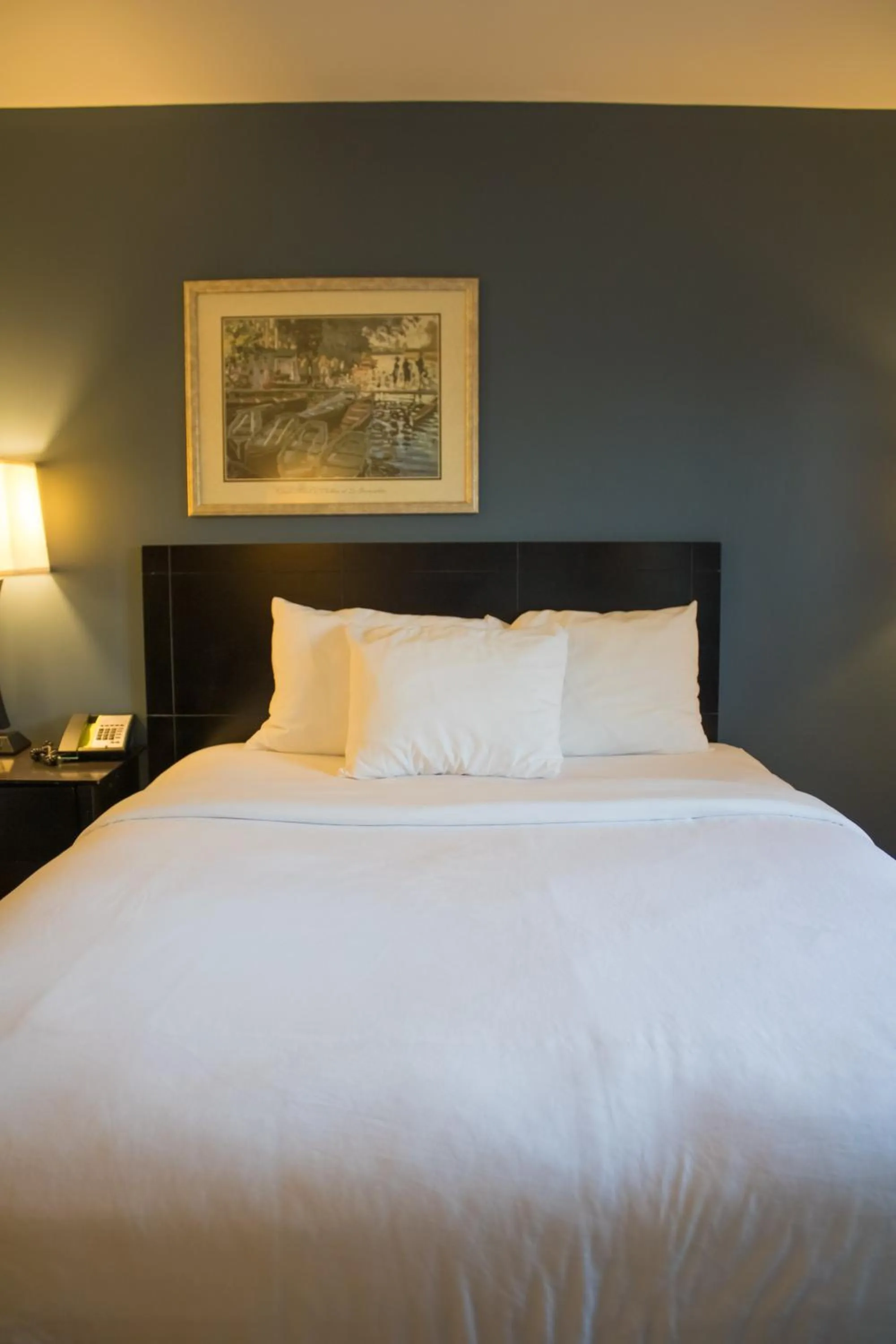 Bed in Baymont by Wyndham Howell/Brighton