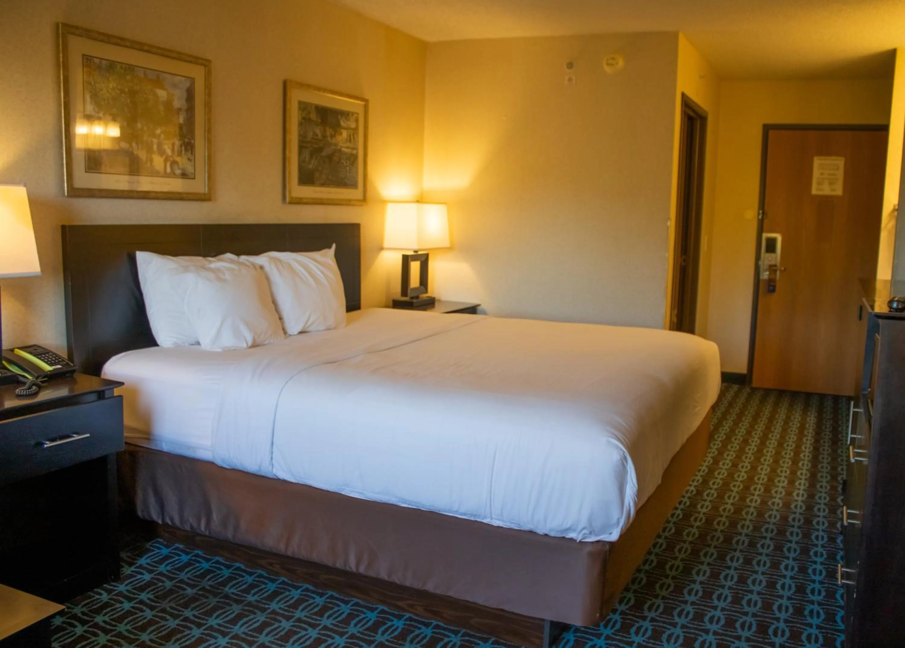 Bed in Baymont by Wyndham Howell/Brighton