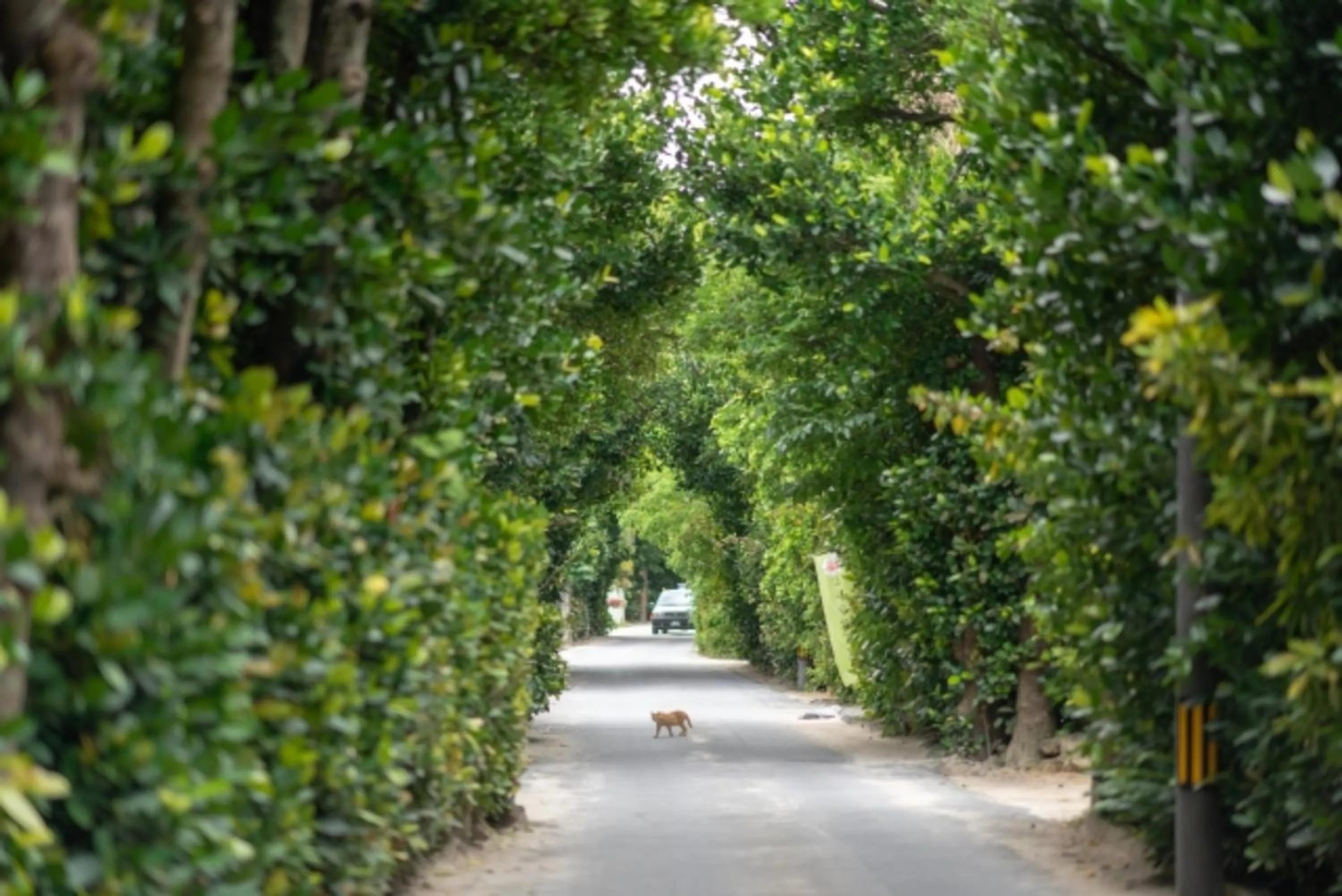 Off site in Comfort Villa