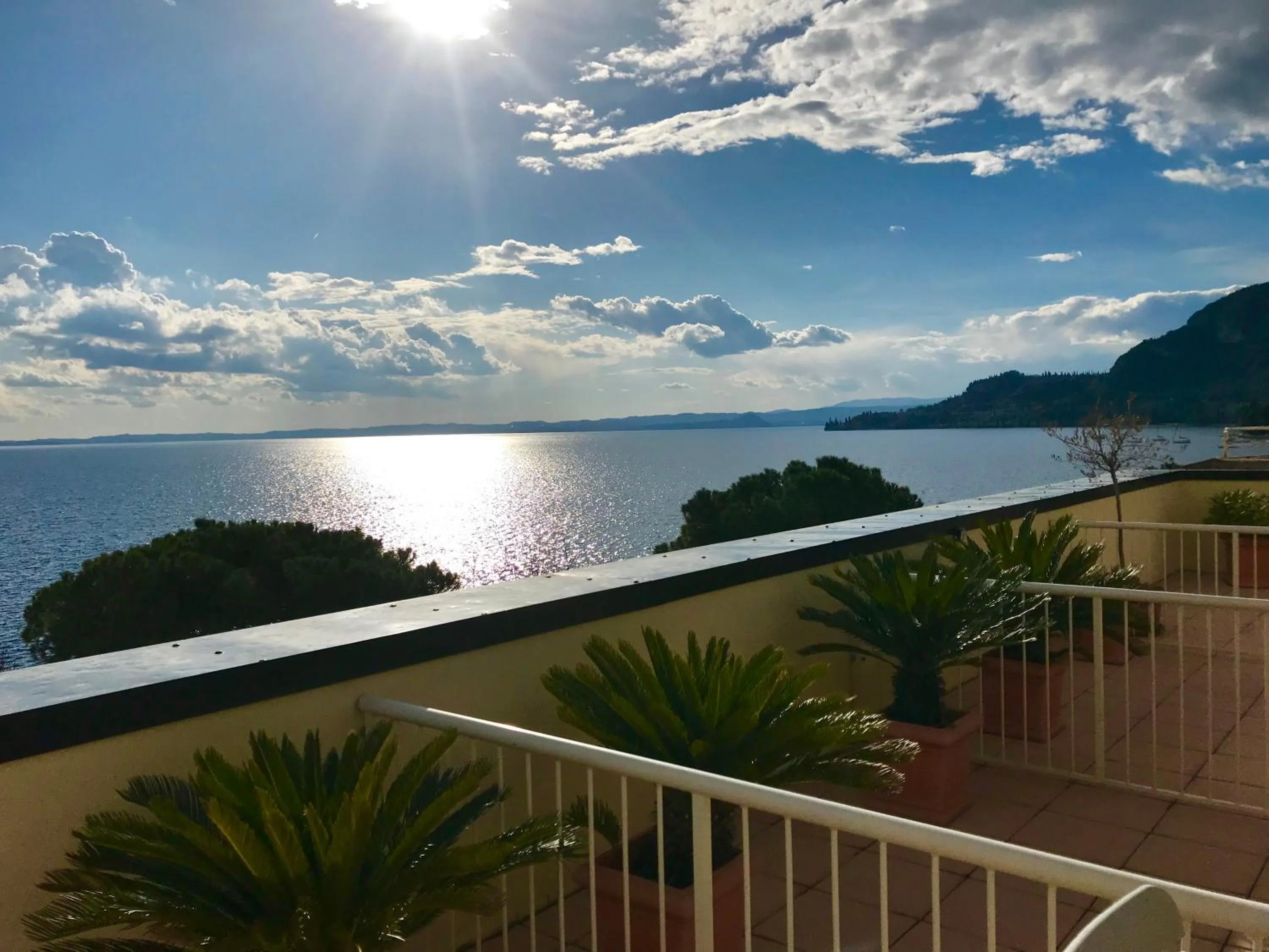 Balcony/Terrace in Hotel Roma