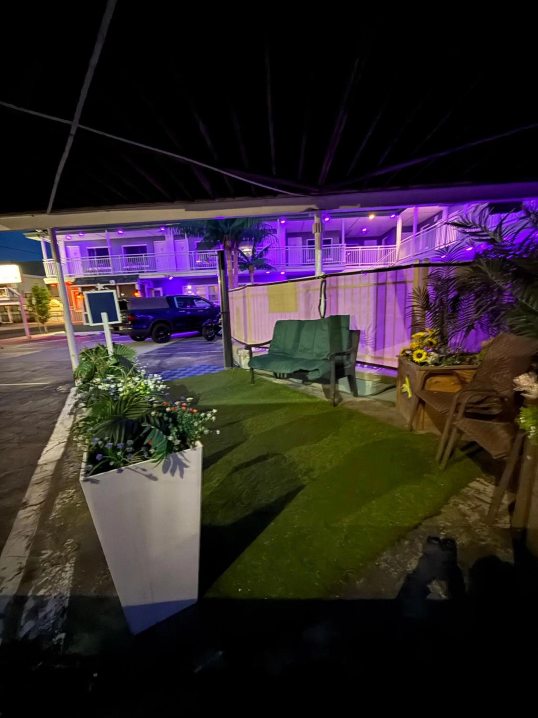 Garden view in Twilight Motel