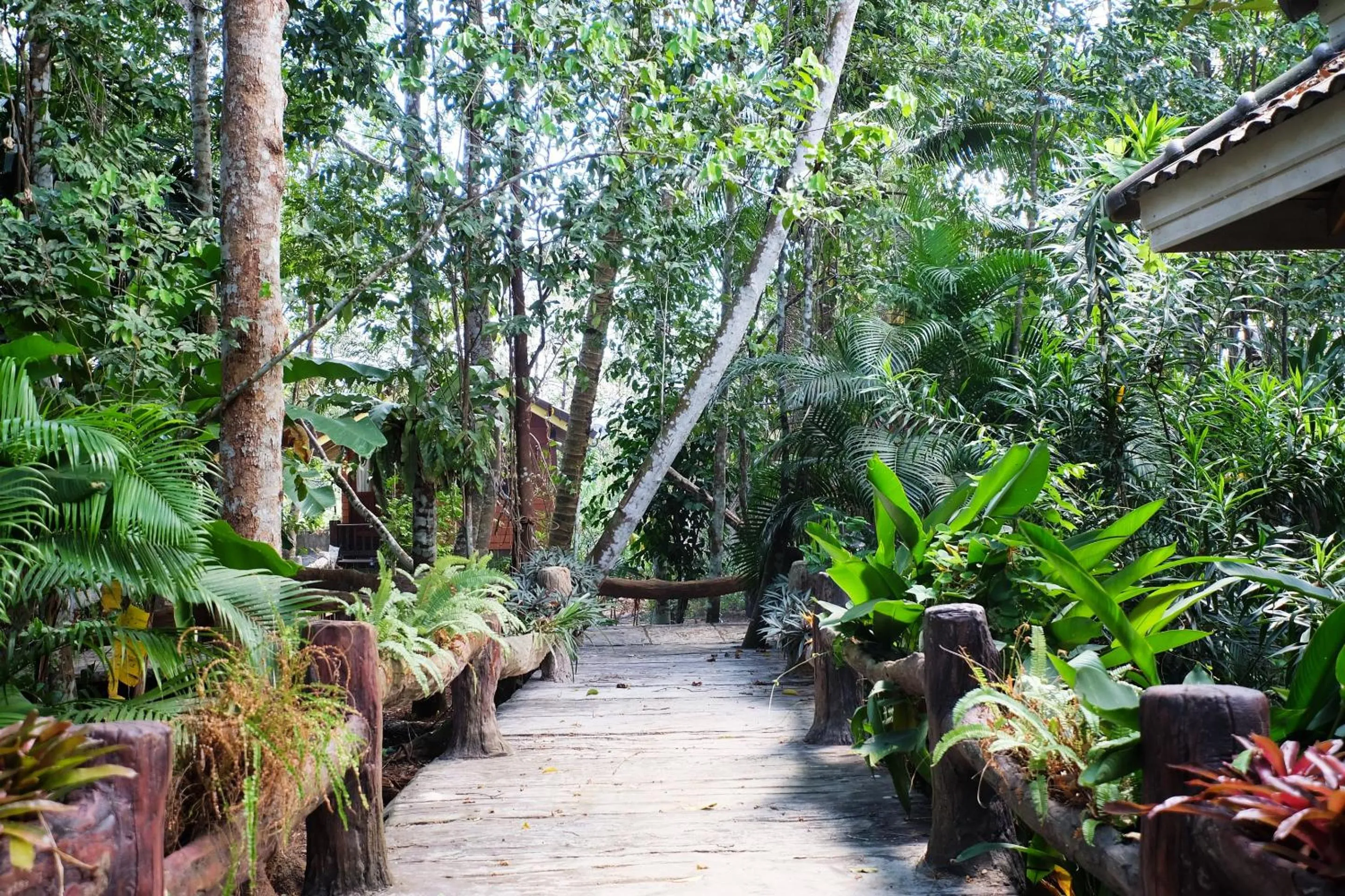 Other in OYO 604 Ruen Mai Horm Resort