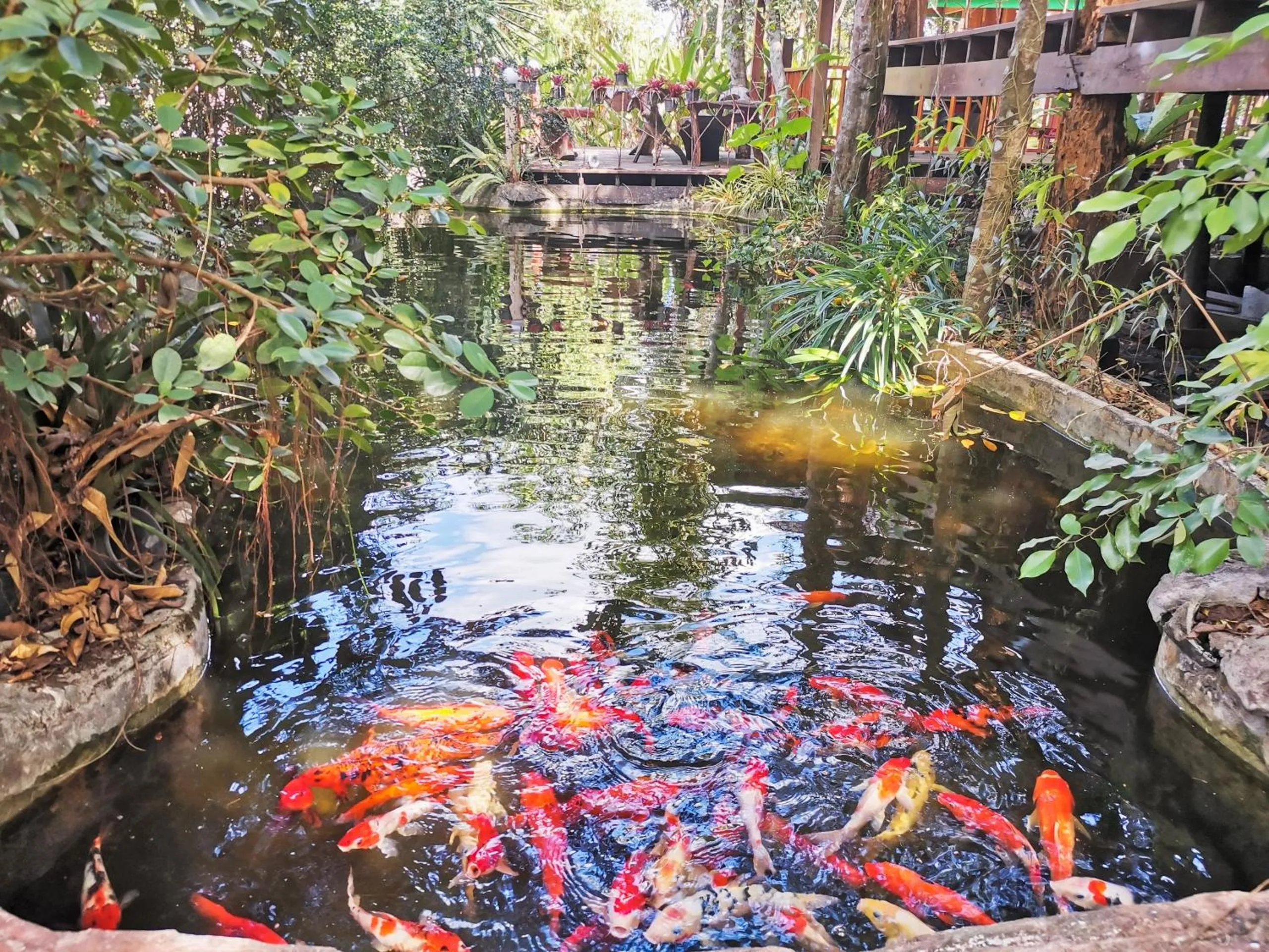 Other in OYO 604 Ruen Mai Horm Resort