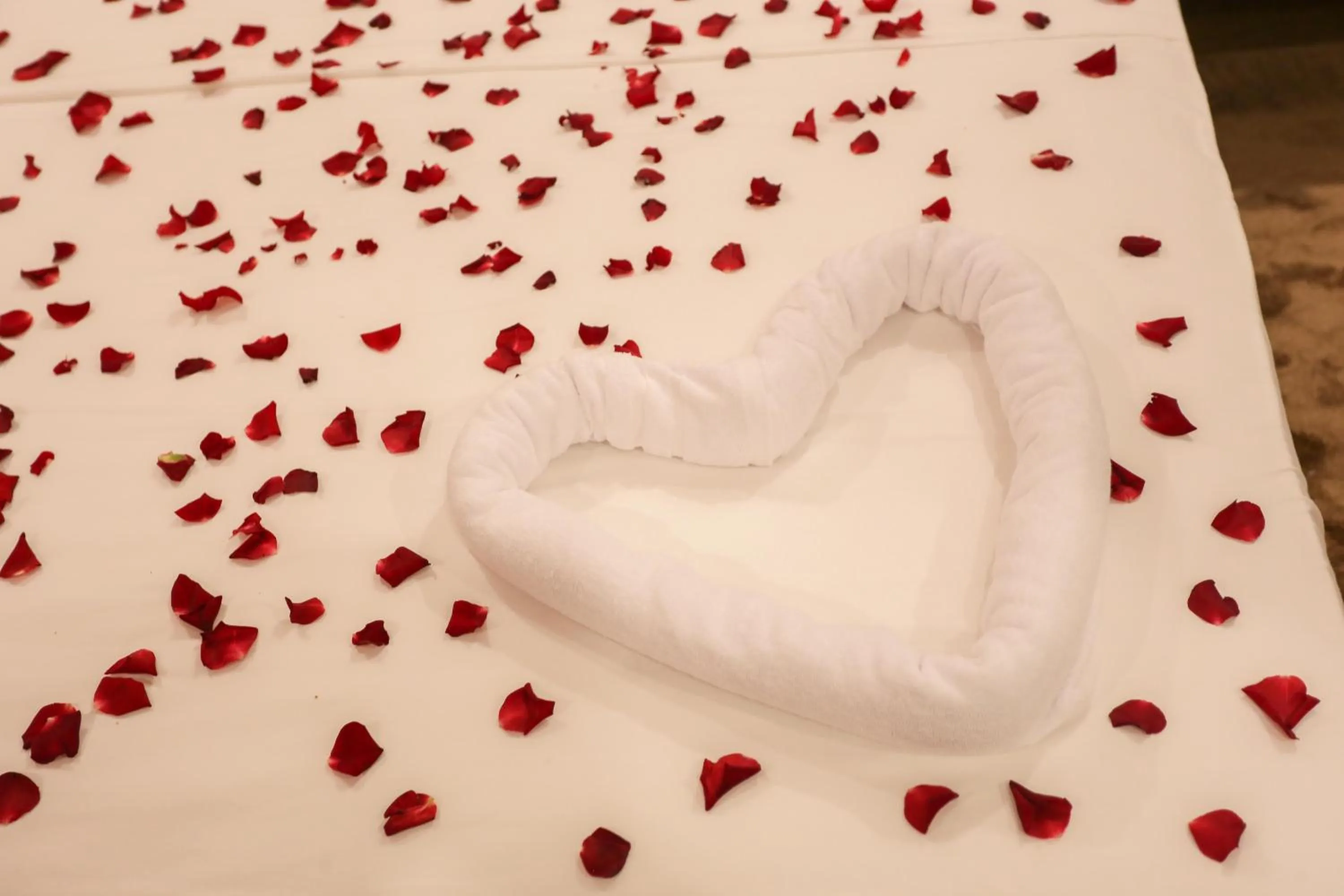 Decorative detail in HOTEL MAKARIM TETOUAN