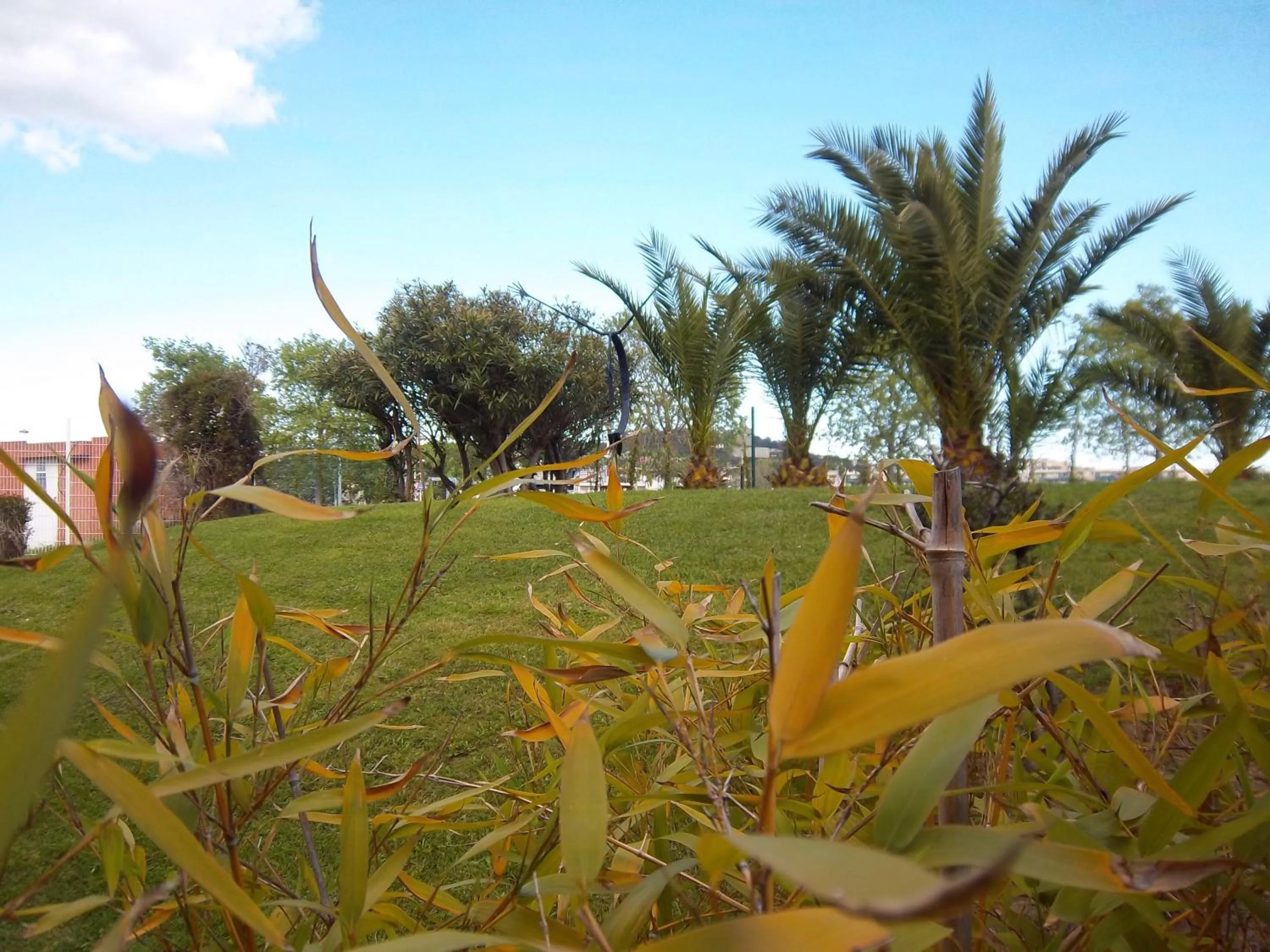 Facade/entrance, Garden in Kyriad Hotel Cannes Mandelieu