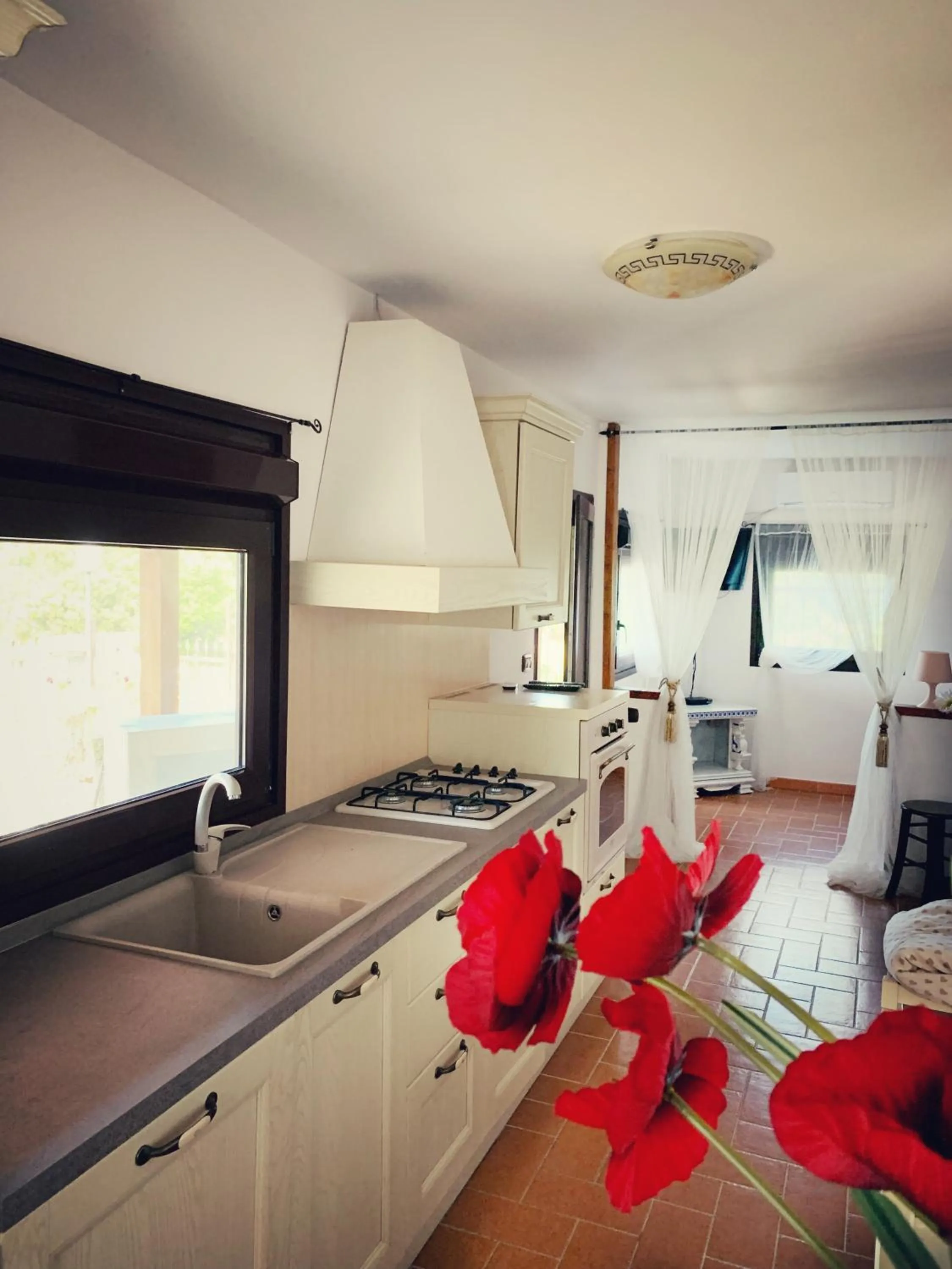 Kitchen/Kitchenette in Madera Blanca