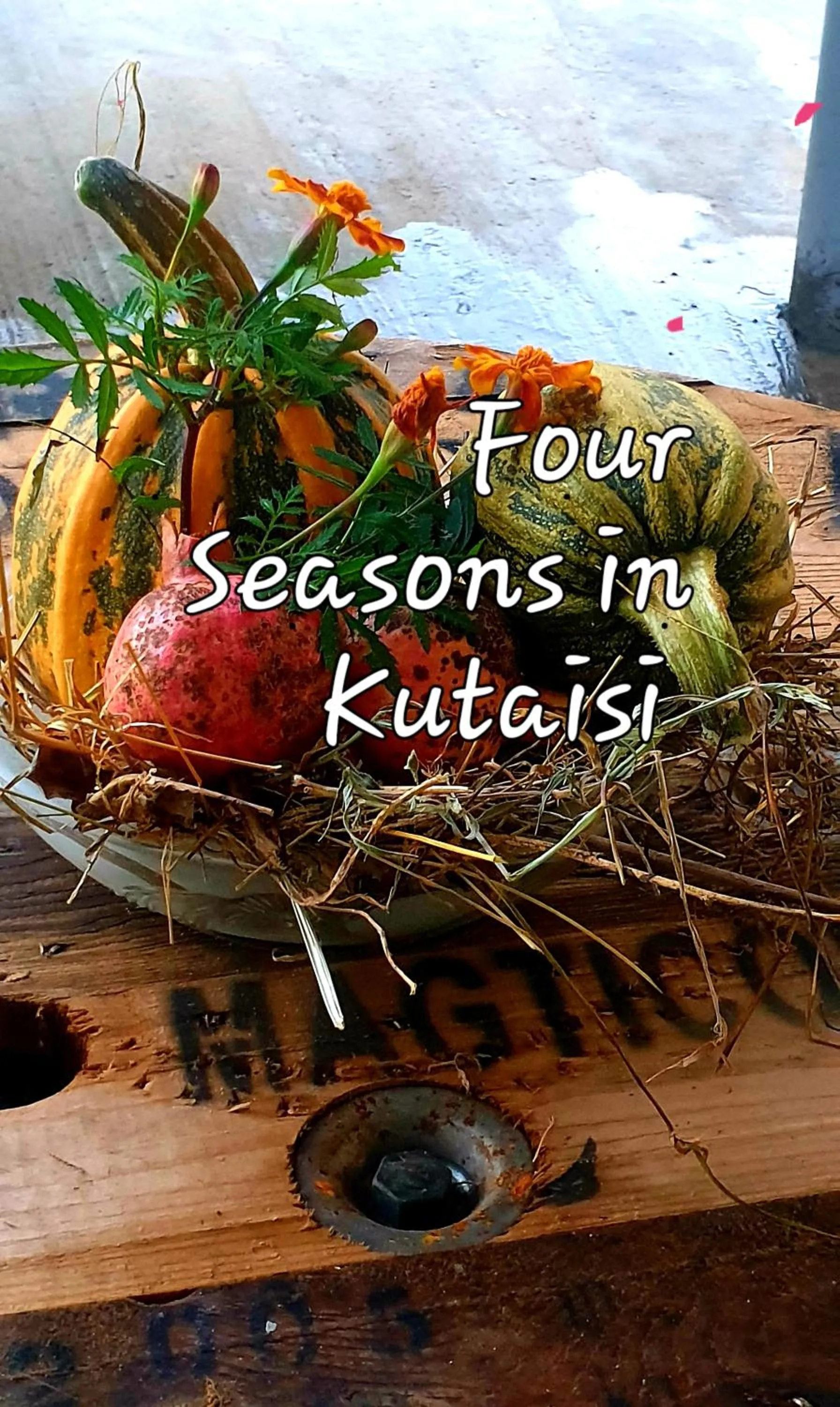 Property logo or sign in Four Seasons in Kutaisi