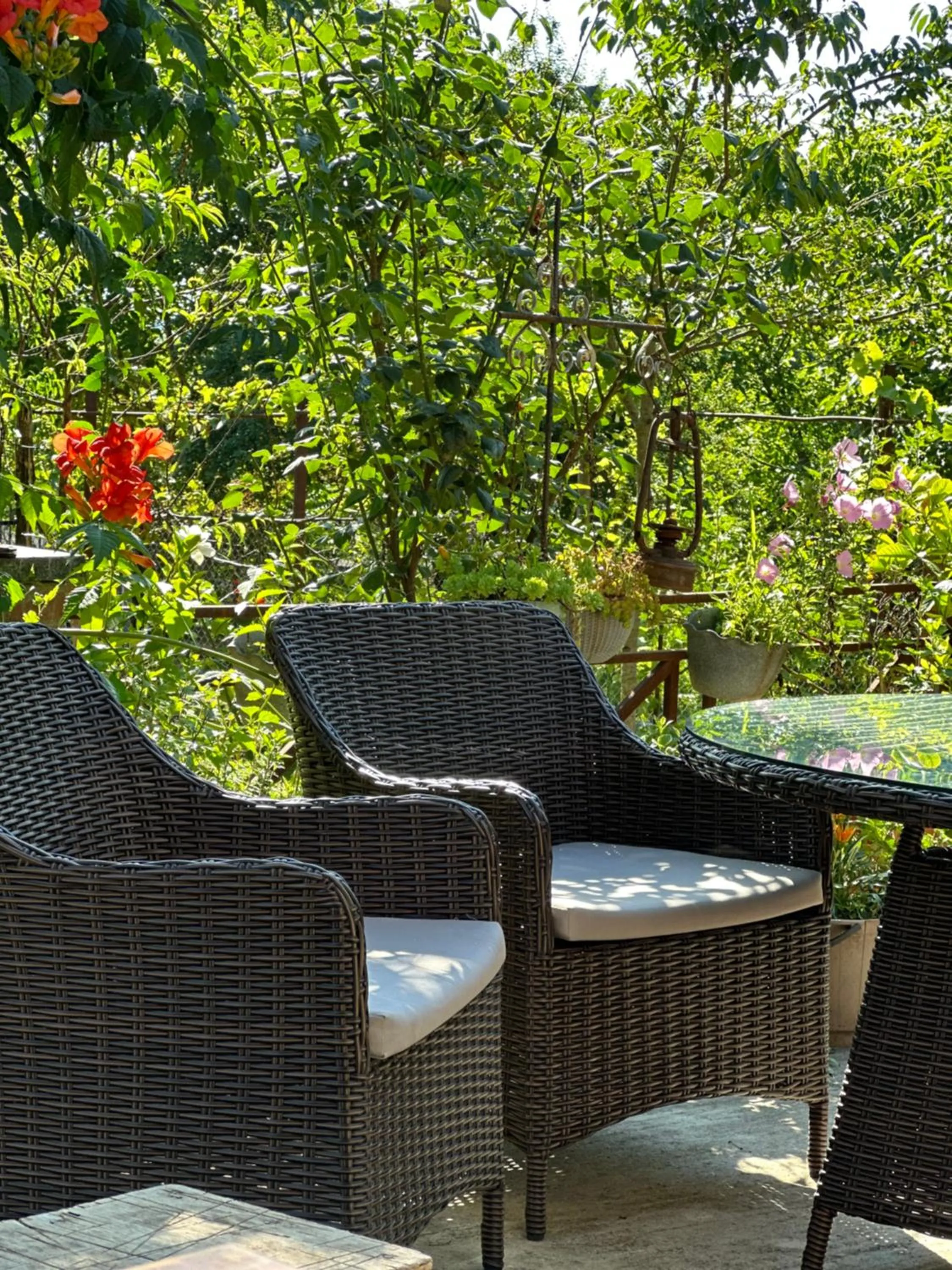 View (from property/room) in Four Seasons in Kutaisi