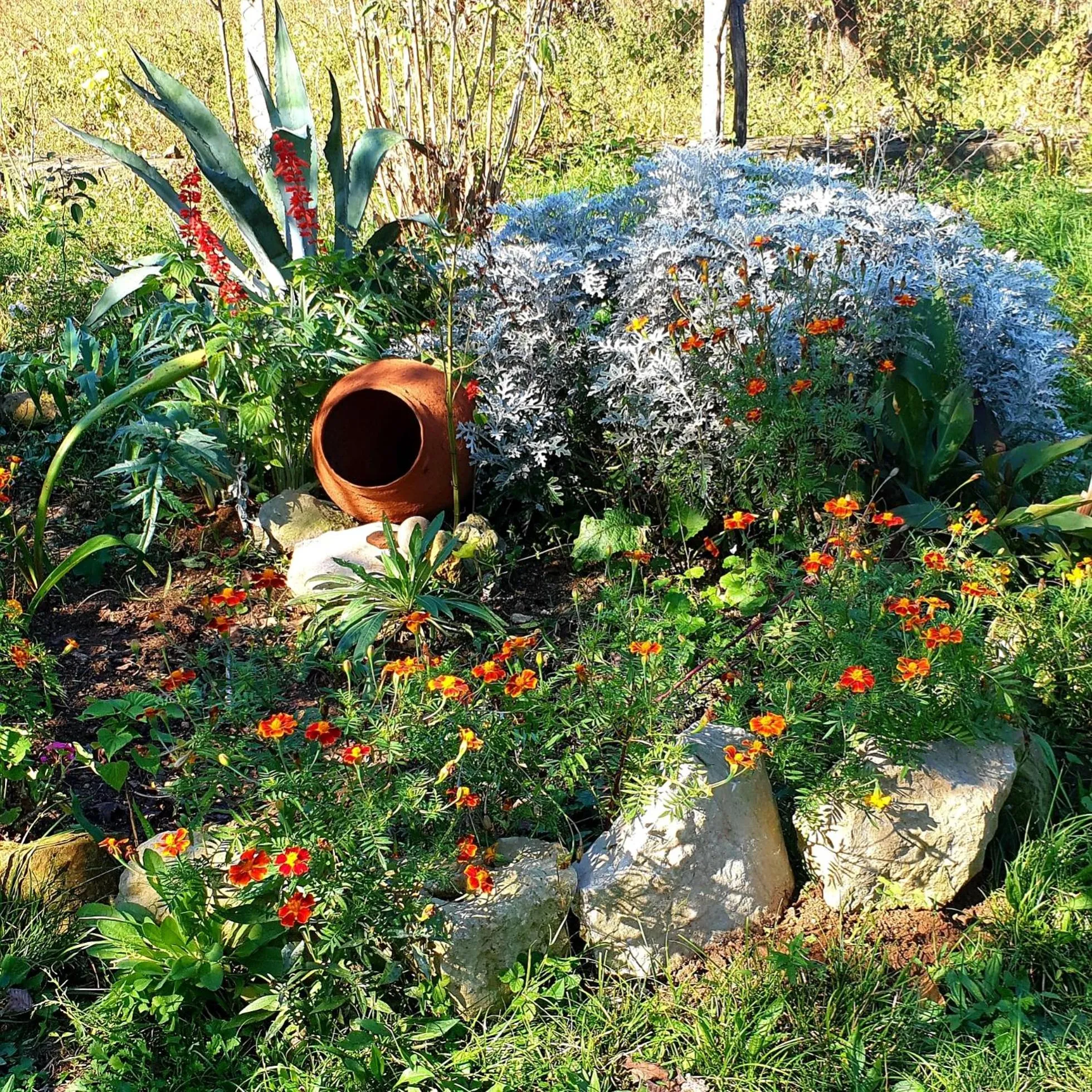 View (from property/room) in Four Seasons in Kutaisi