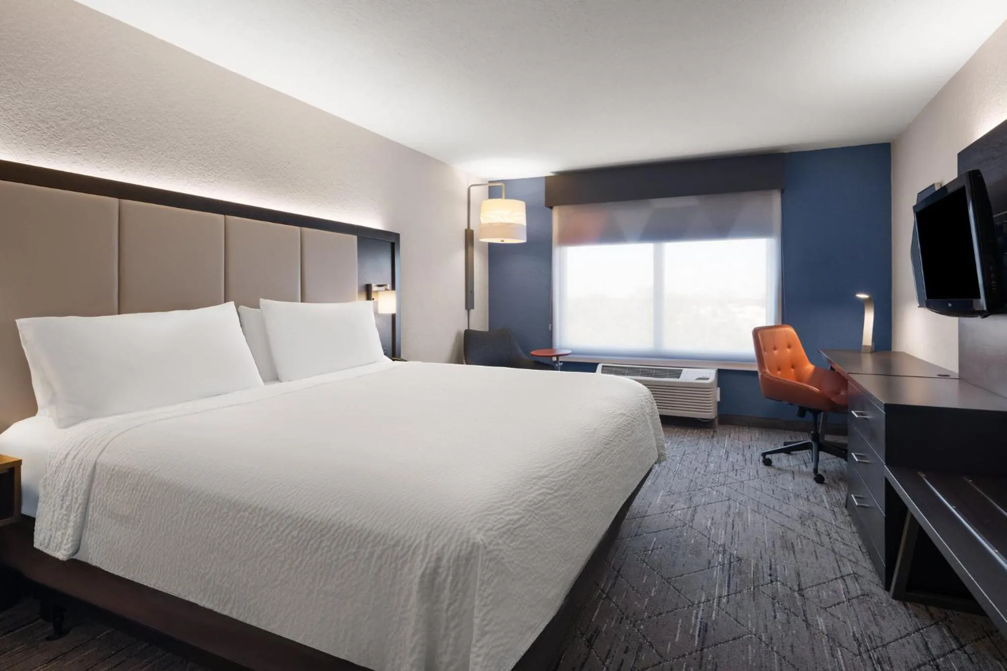 Photo of the whole room, Bed in Holiday Inn Express St. Petersburg North / I-275 by IHG