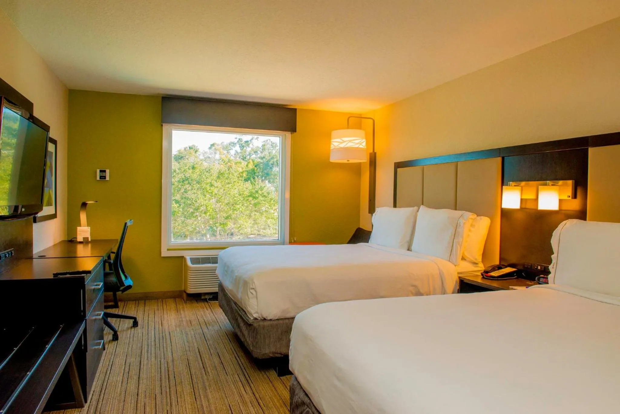 Photo of the whole room, Bed in Holiday Inn Express St. Petersburg North / I-275 by IHG