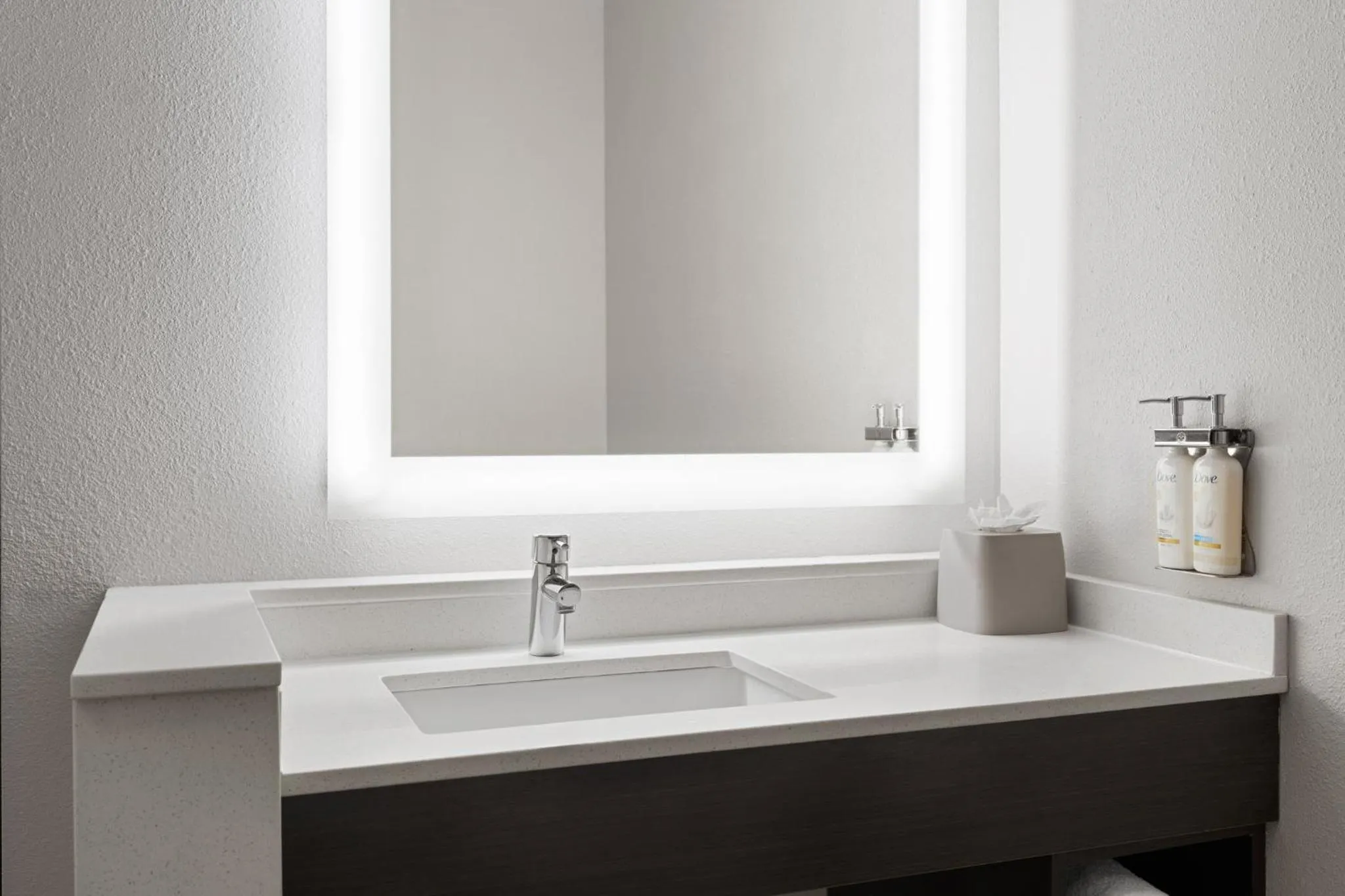 Bathroom in Holiday Inn Express St. Petersburg North / I-275 by IHG