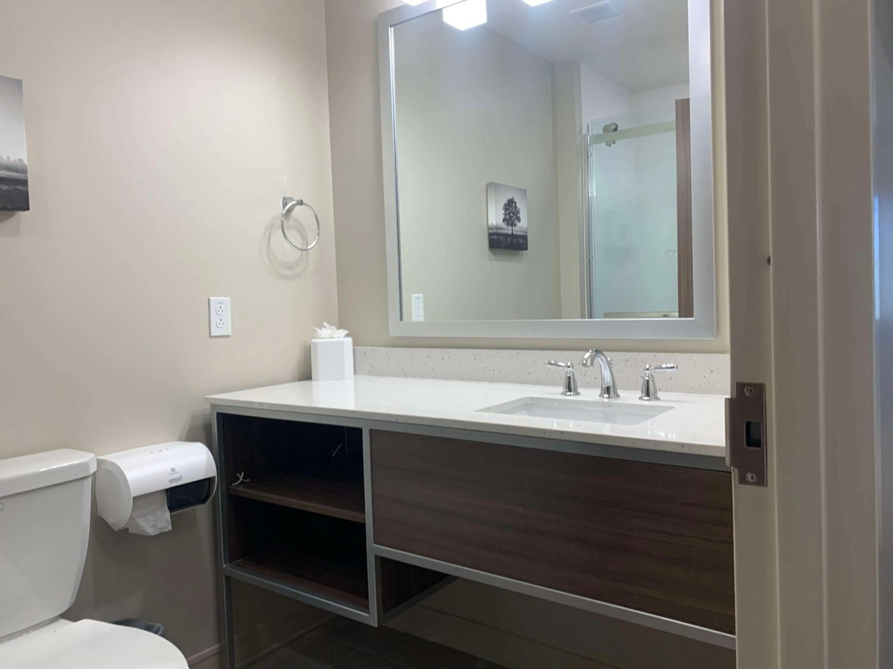 Bathroom in Best Western Plus Horseheads Inn & Suites