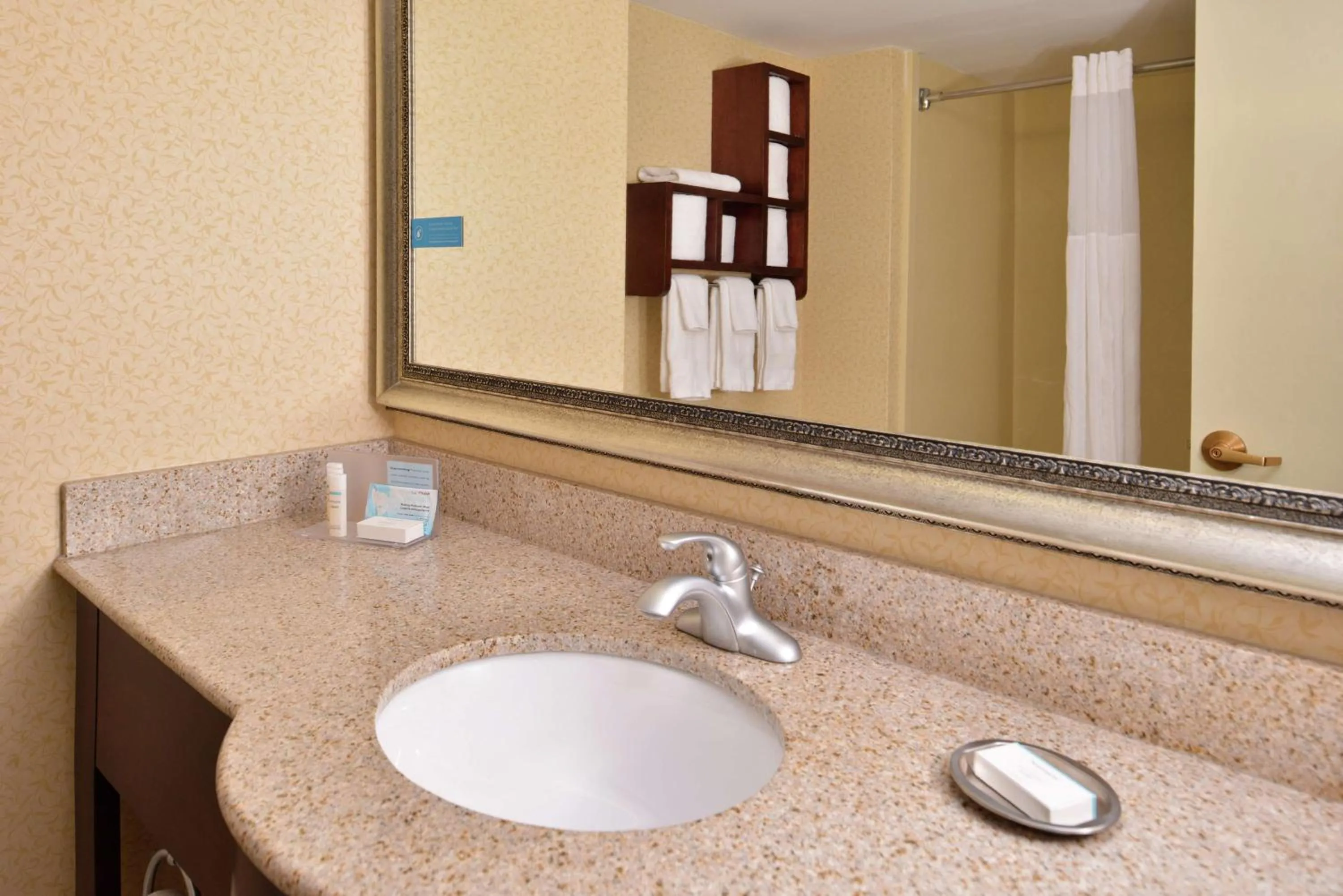 Bathroom in Hampton Inn Staunton