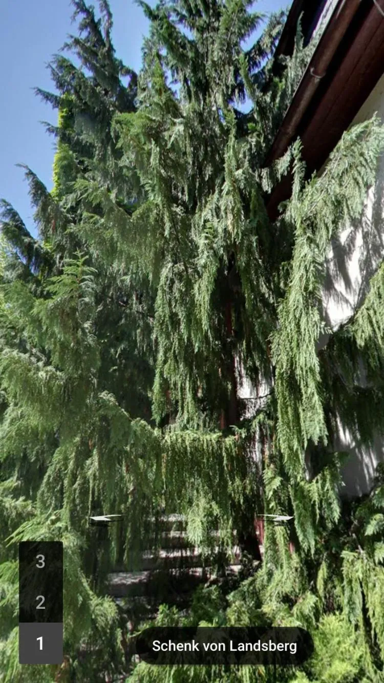 Garden in Hotel & Restaurant Schenk von Landsberg