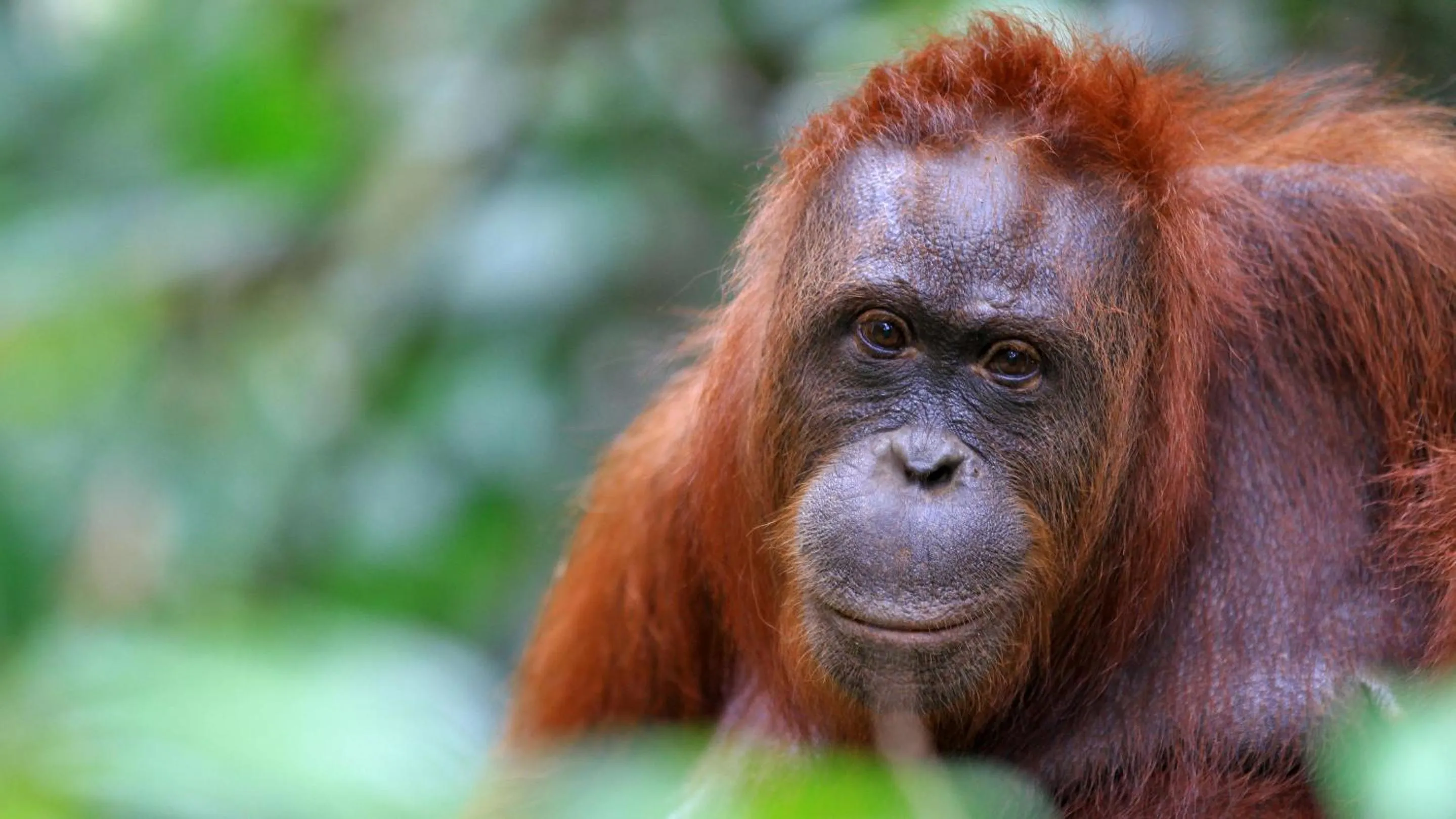 Activities in Comfort Inn & Suites Tigard near Washington Square