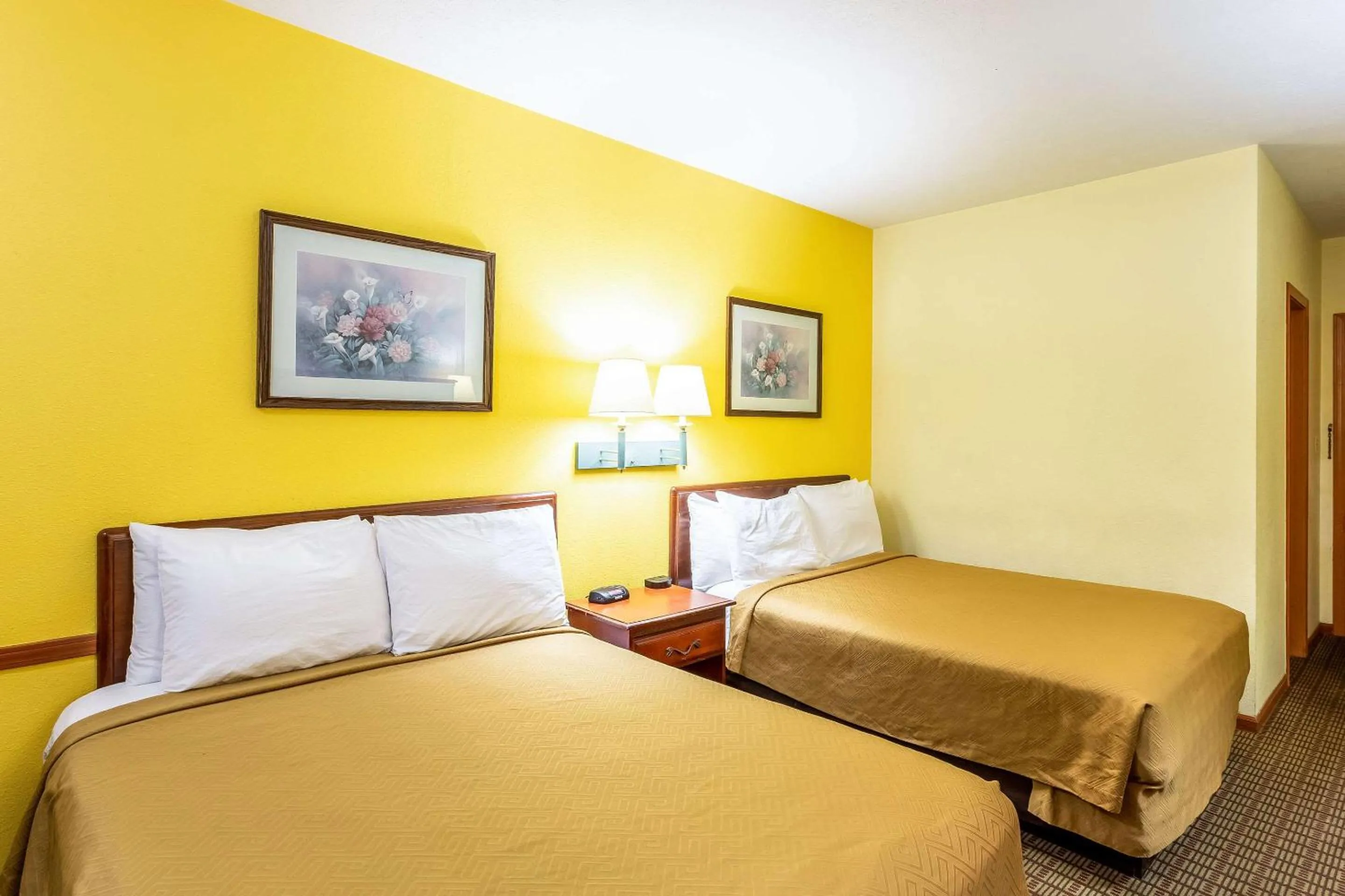 Photo of the whole room, Bed in Econo Lodge Morgantown