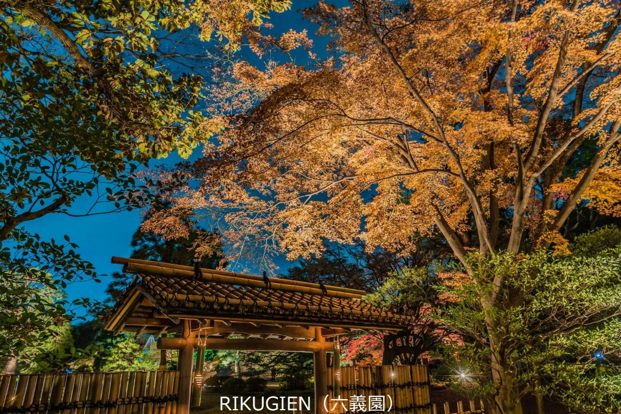 Nearby landmark in IKIDANE Residential Hotel Komagome