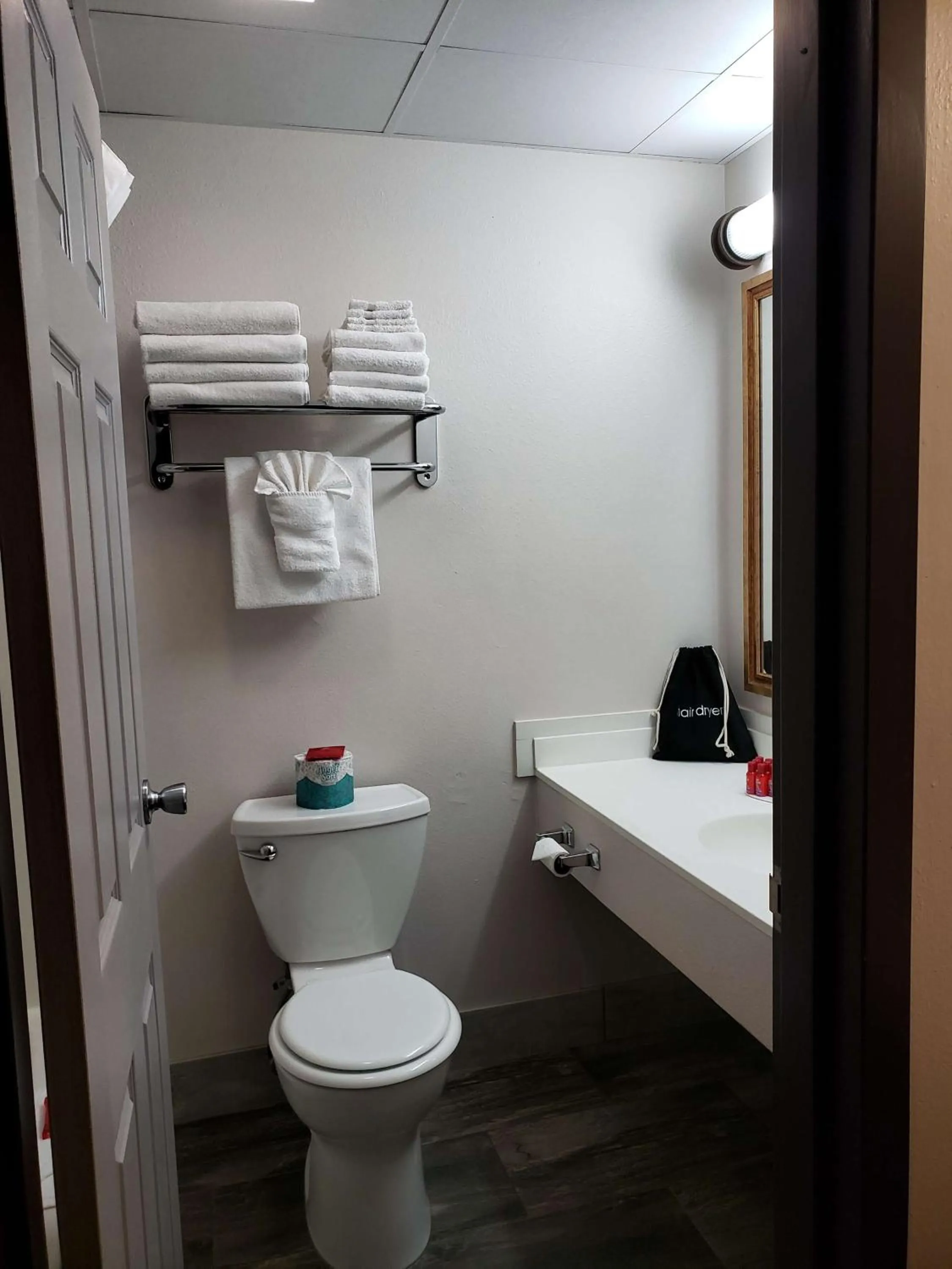 Toilet in SureStay Plus Hotel by Best Western Grand Island