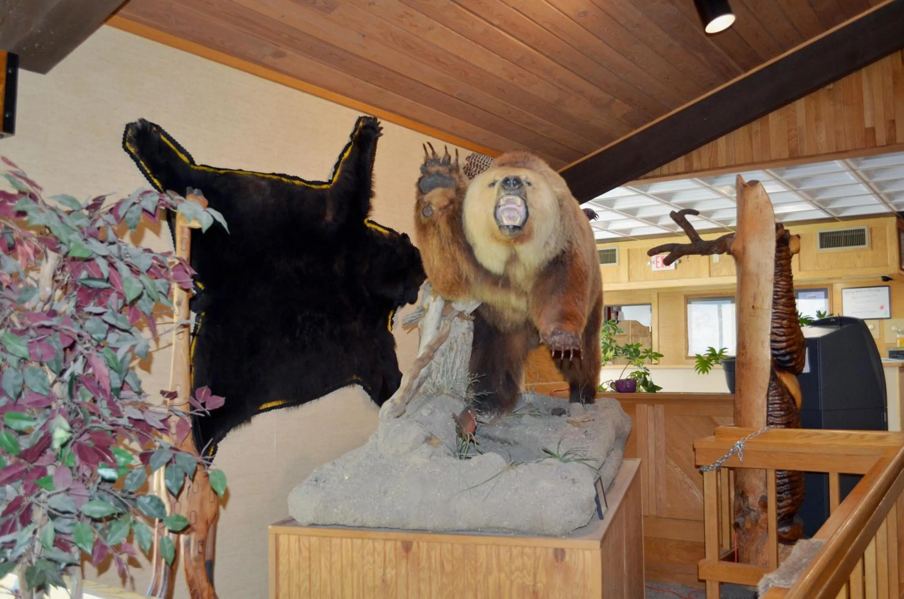 Property building in Hot Springs Hotel & Spa