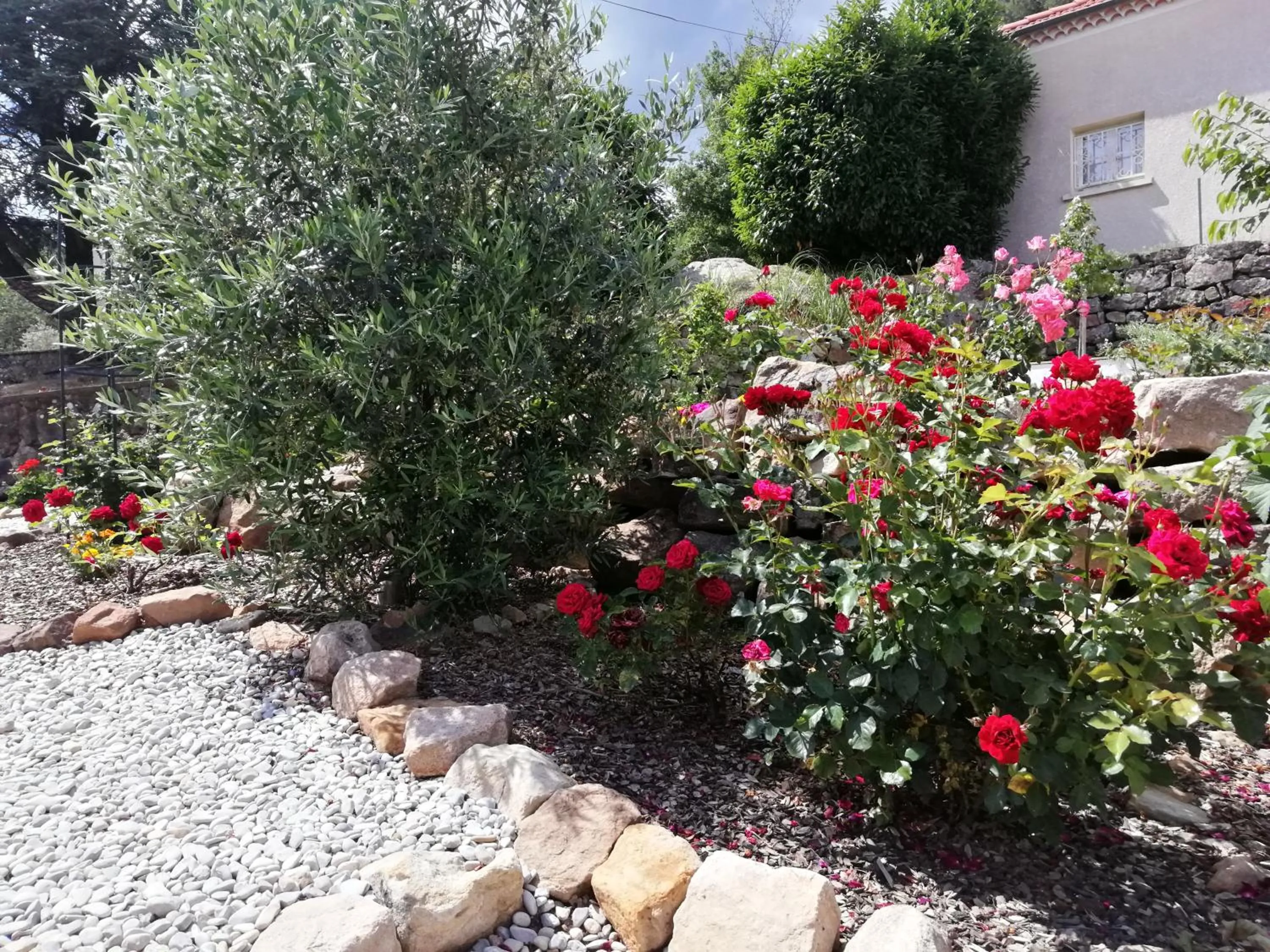 Garden in La Garenne