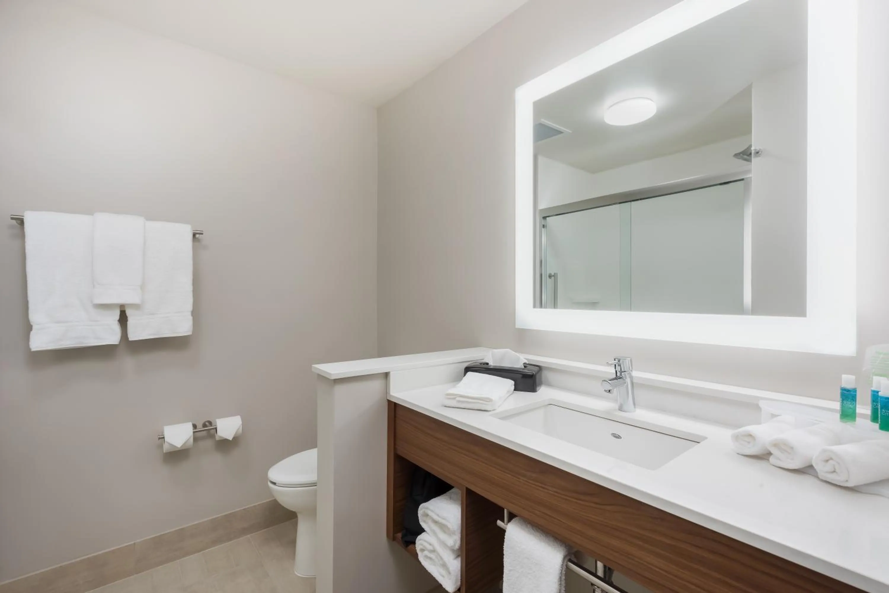 Bathroom in Holiday Inn Express & Suites West Plains Southwest by IHG