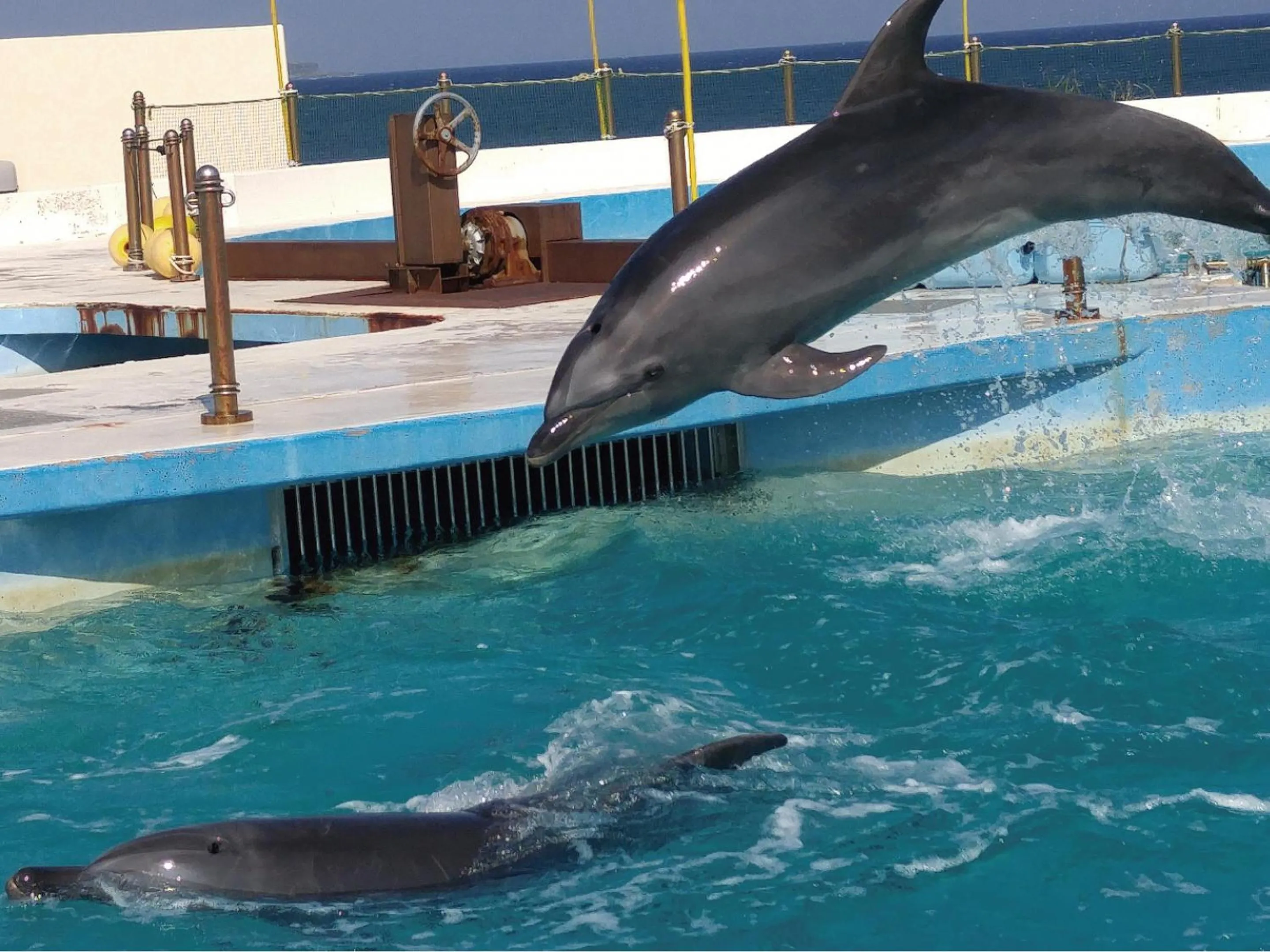 Nearby landmark in Karry CONDO CHURAUMI