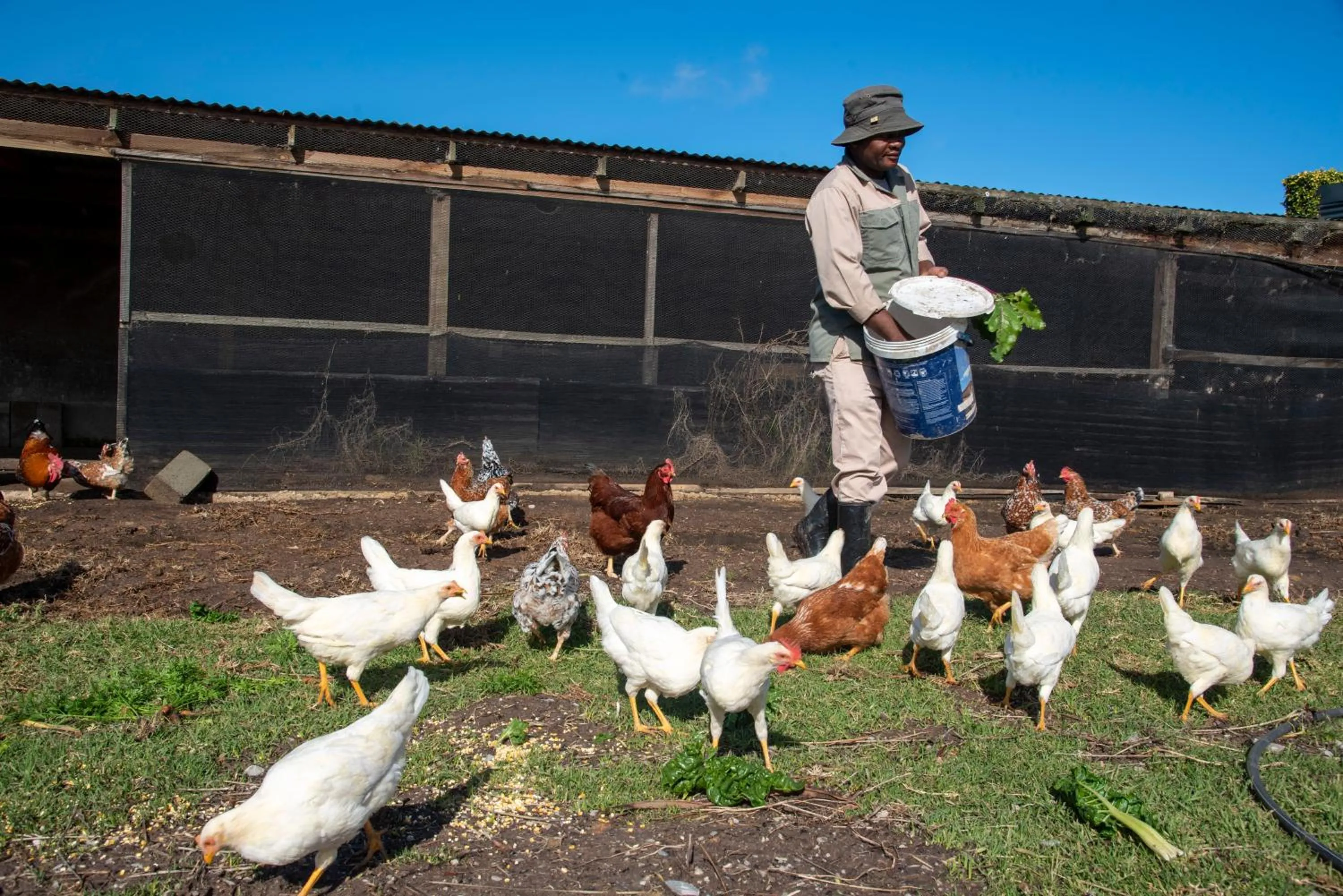 People in Hudson Manor - Entabeni, Knysna