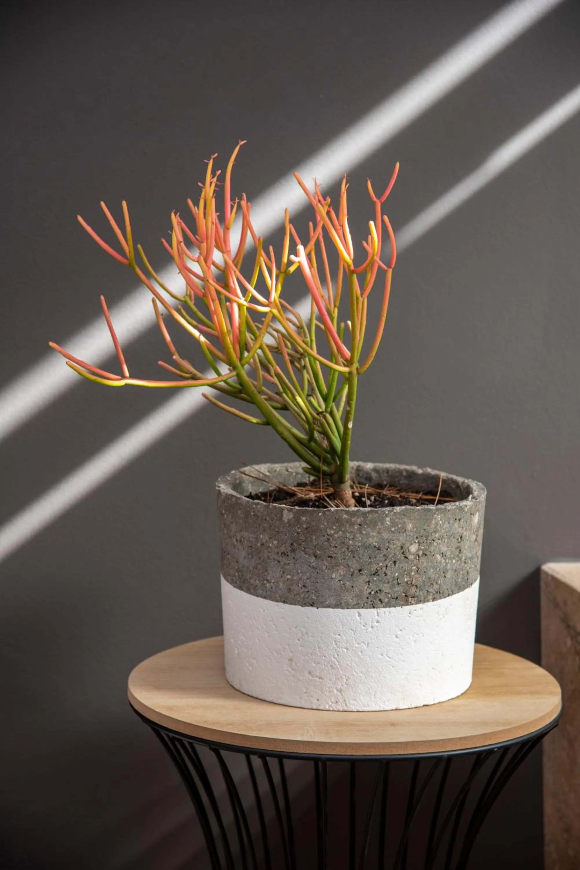 Hudson Manor - Entabeni, Knysna