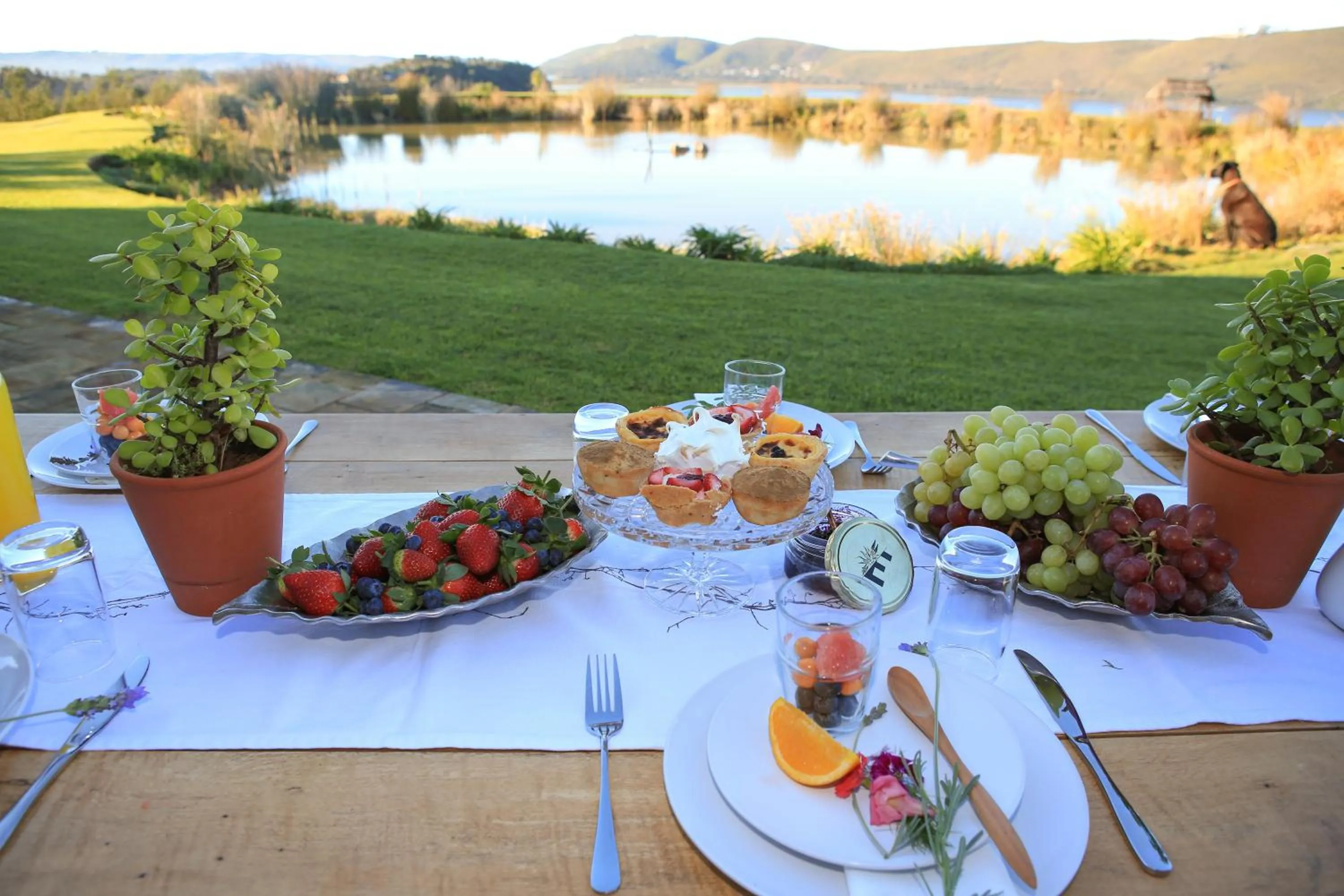 Hudson Manor - Entabeni, Knysna