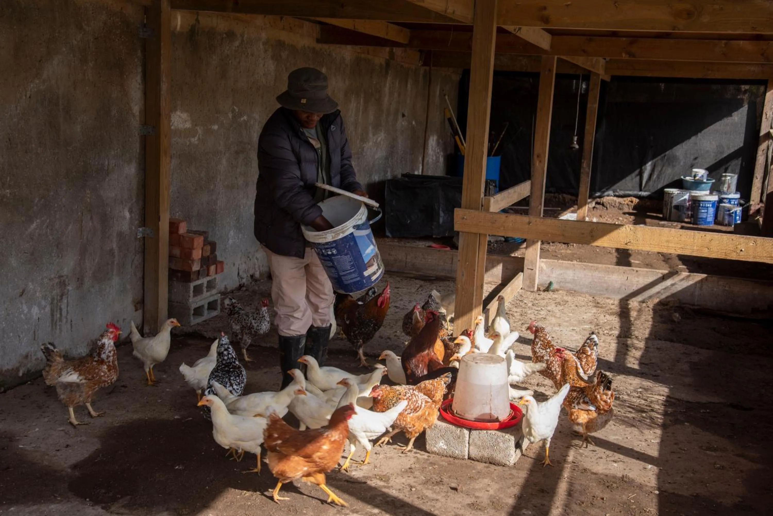 Hudson Manor - Entabeni, Knysna