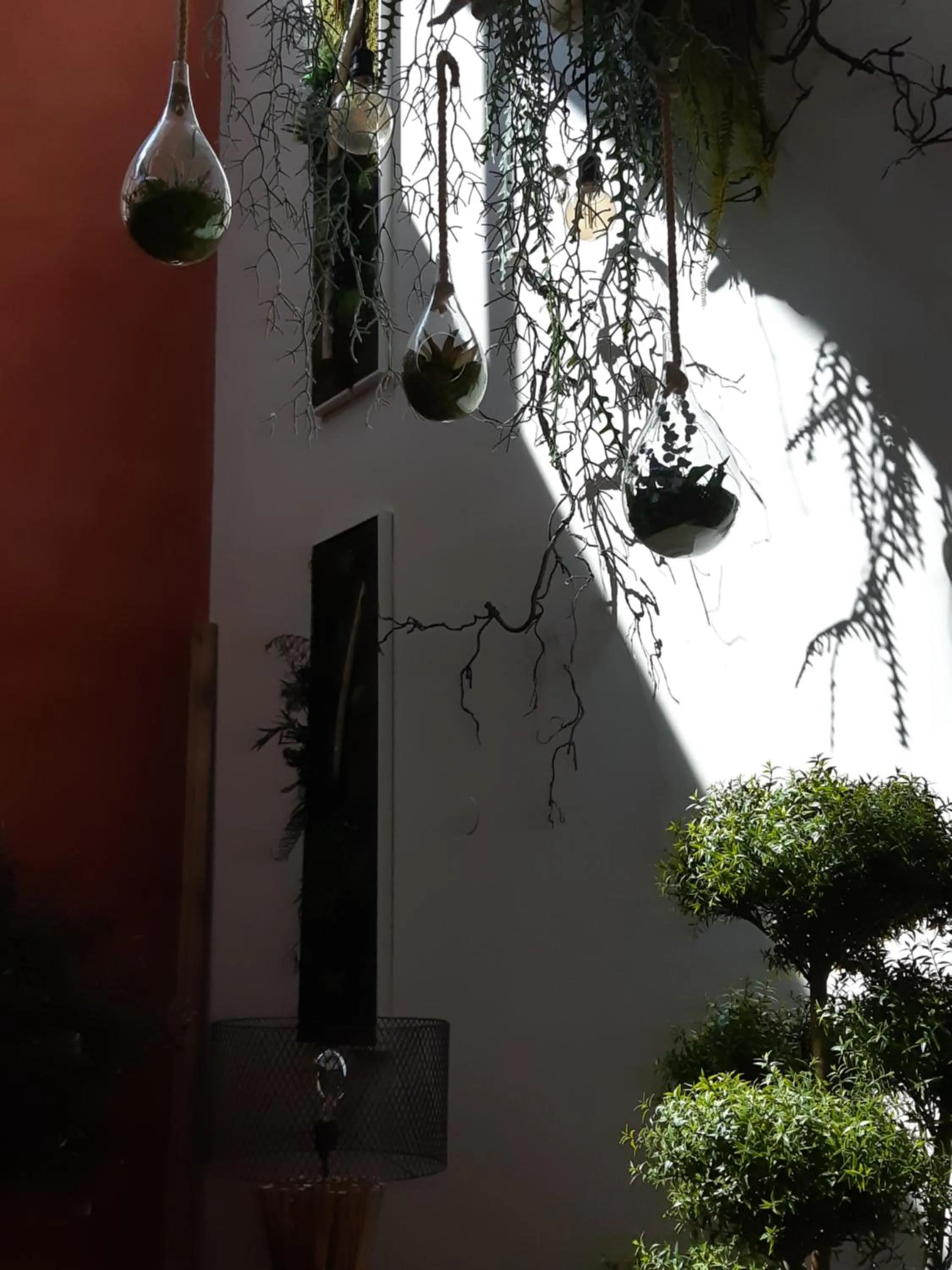Patio in La Villanelle maison d'hôtes
