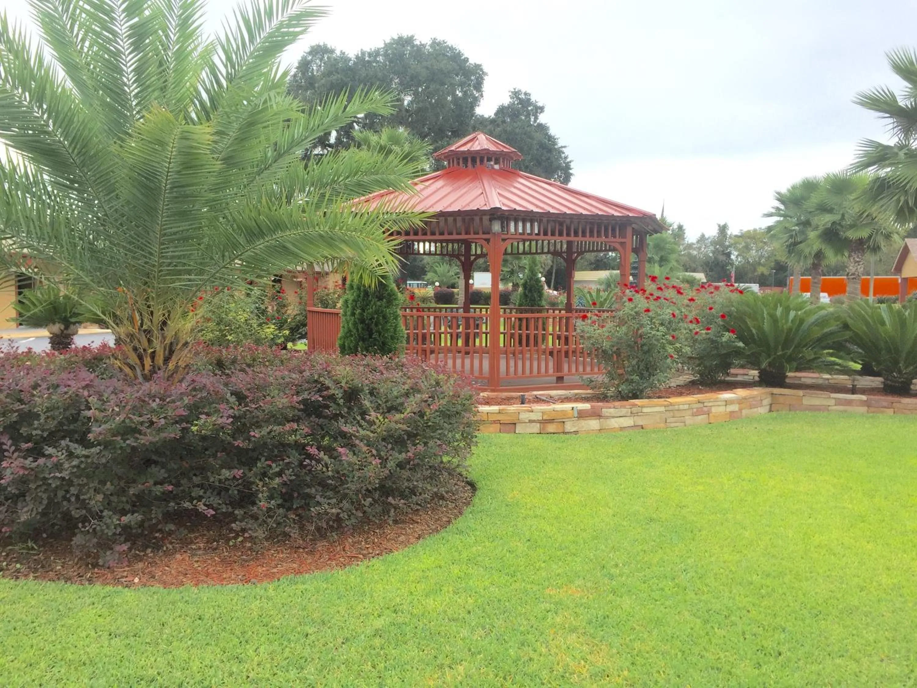 Natural landscape in Deluxe Inn - Savannah