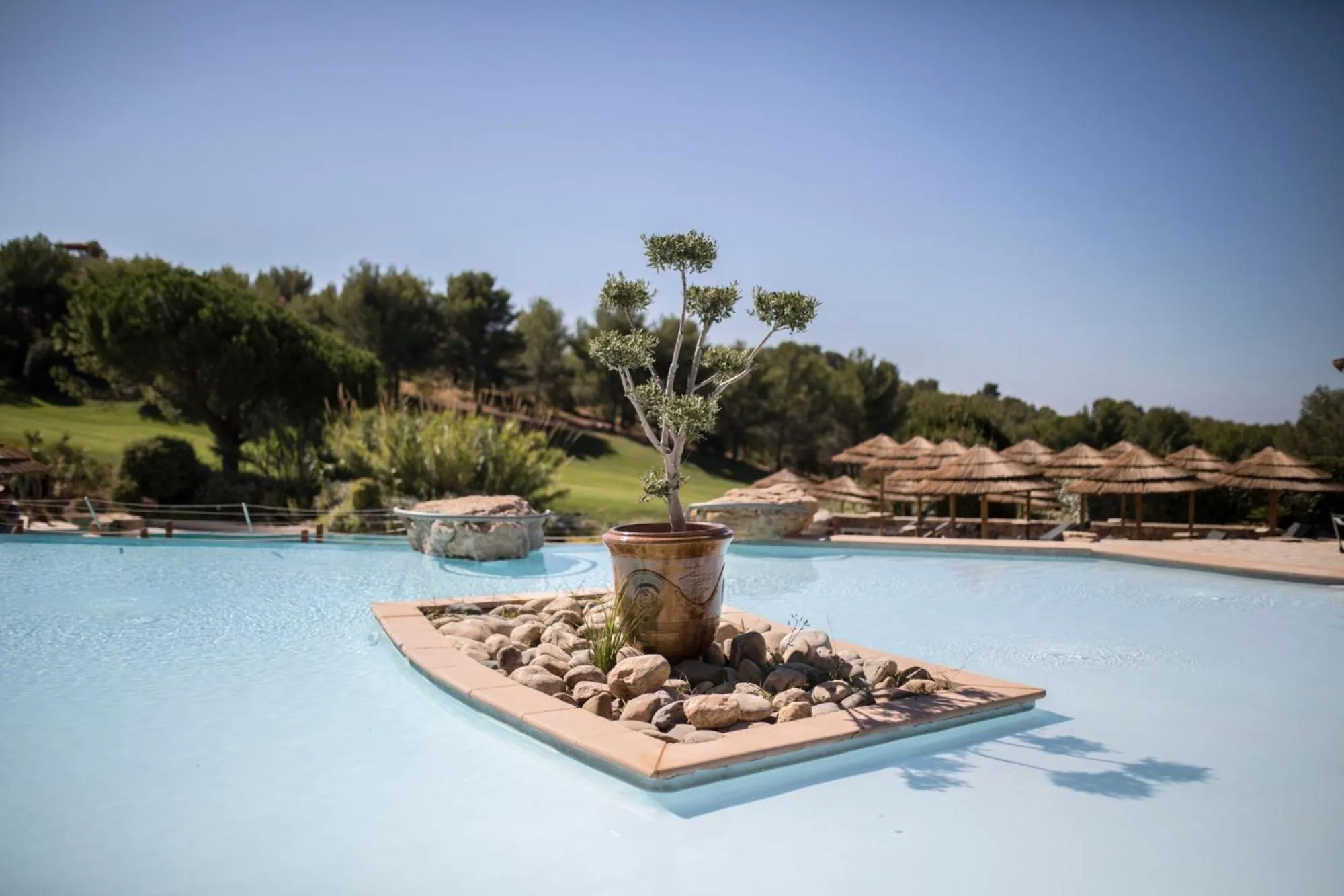 Swimming pool in Le Fregate Provence