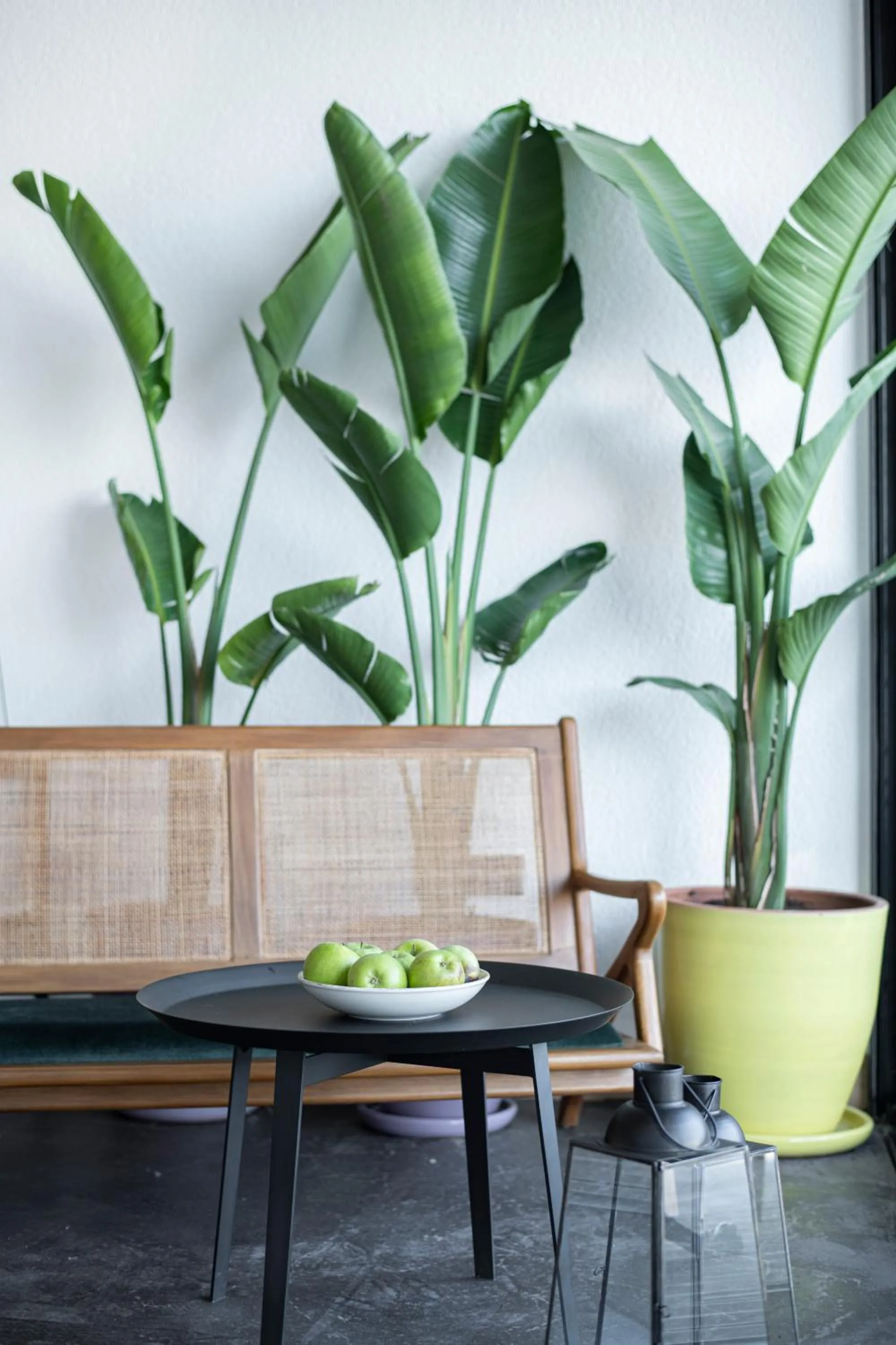 Property building in Harbour Suites Fethiye