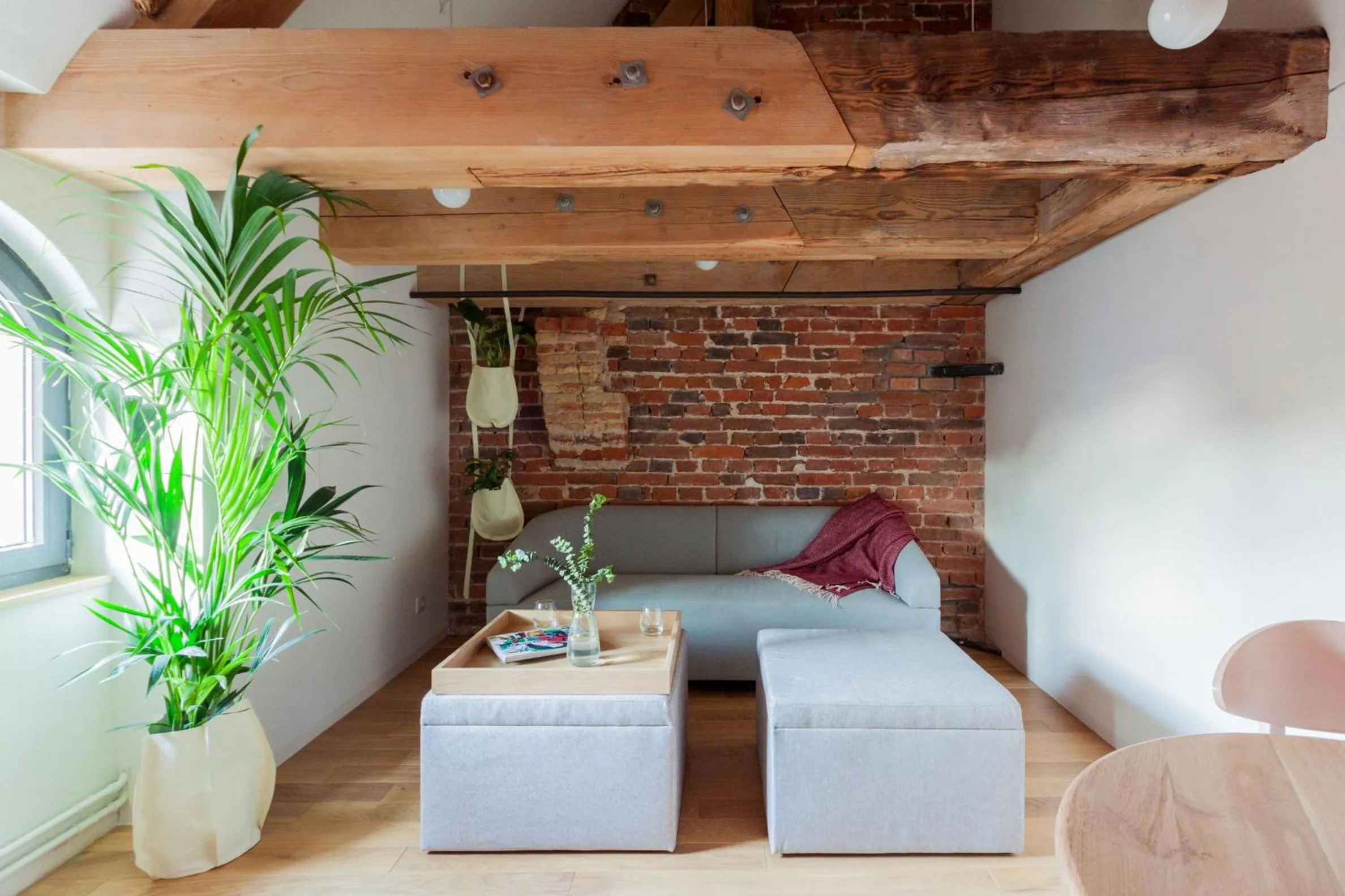 Living room in Apartamenty Monka