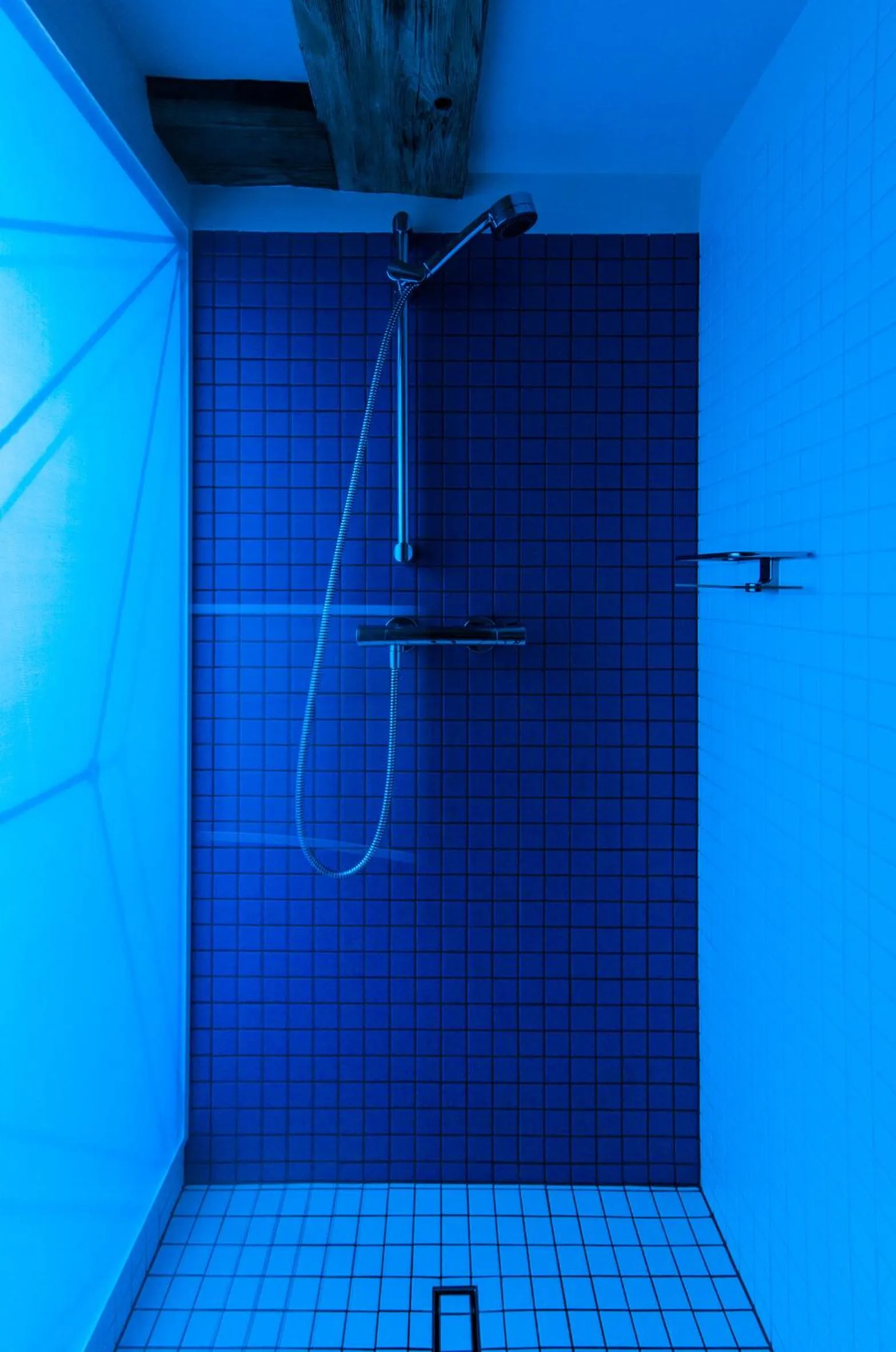 Shower in Apartamenty Monka