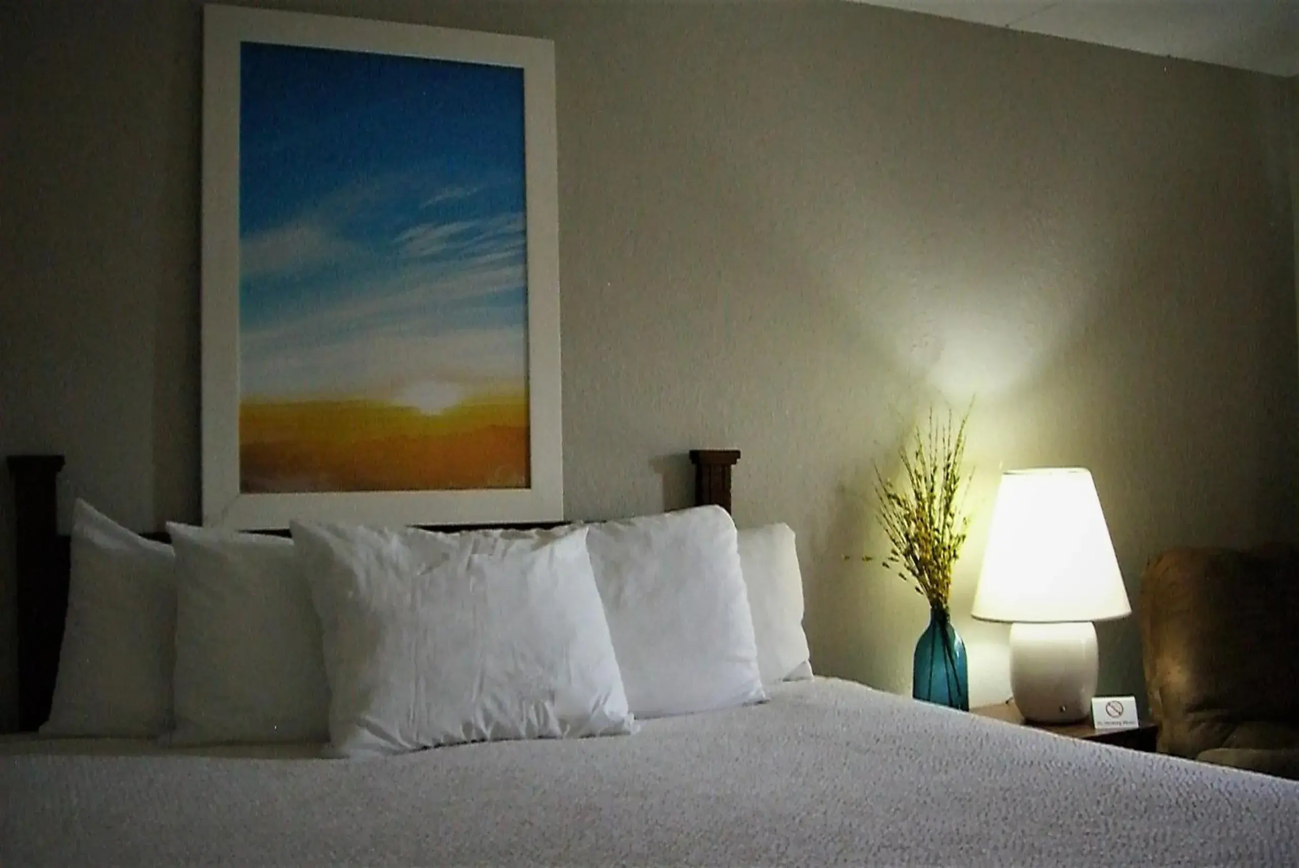 King Room - Non-Smoking in Days Inn by Wyndham Pierre King Room - Non-Smoking in Days Inn by Wyndham Pierre