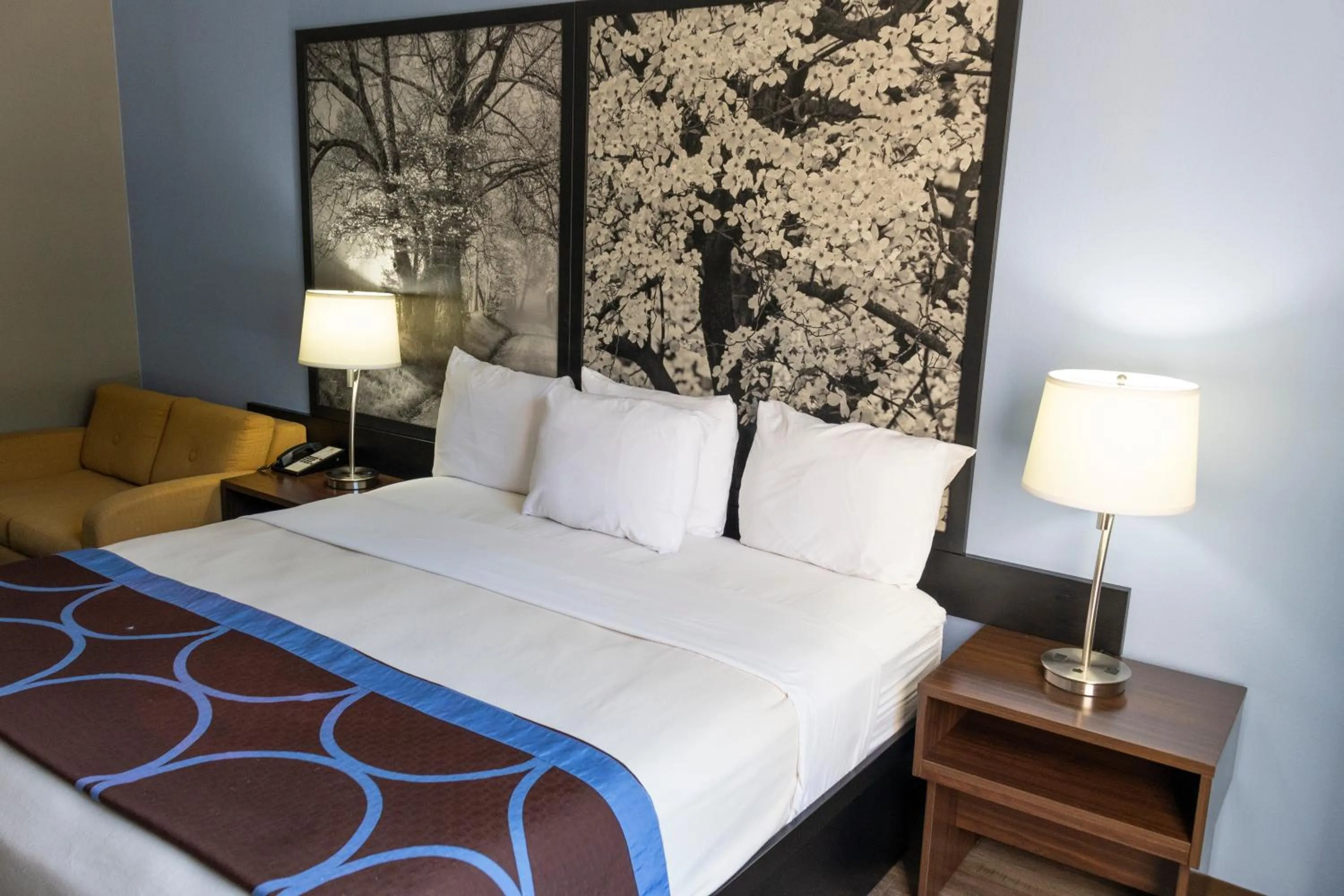 Bed in Super 8 by Wyndham Smithfield-Selma