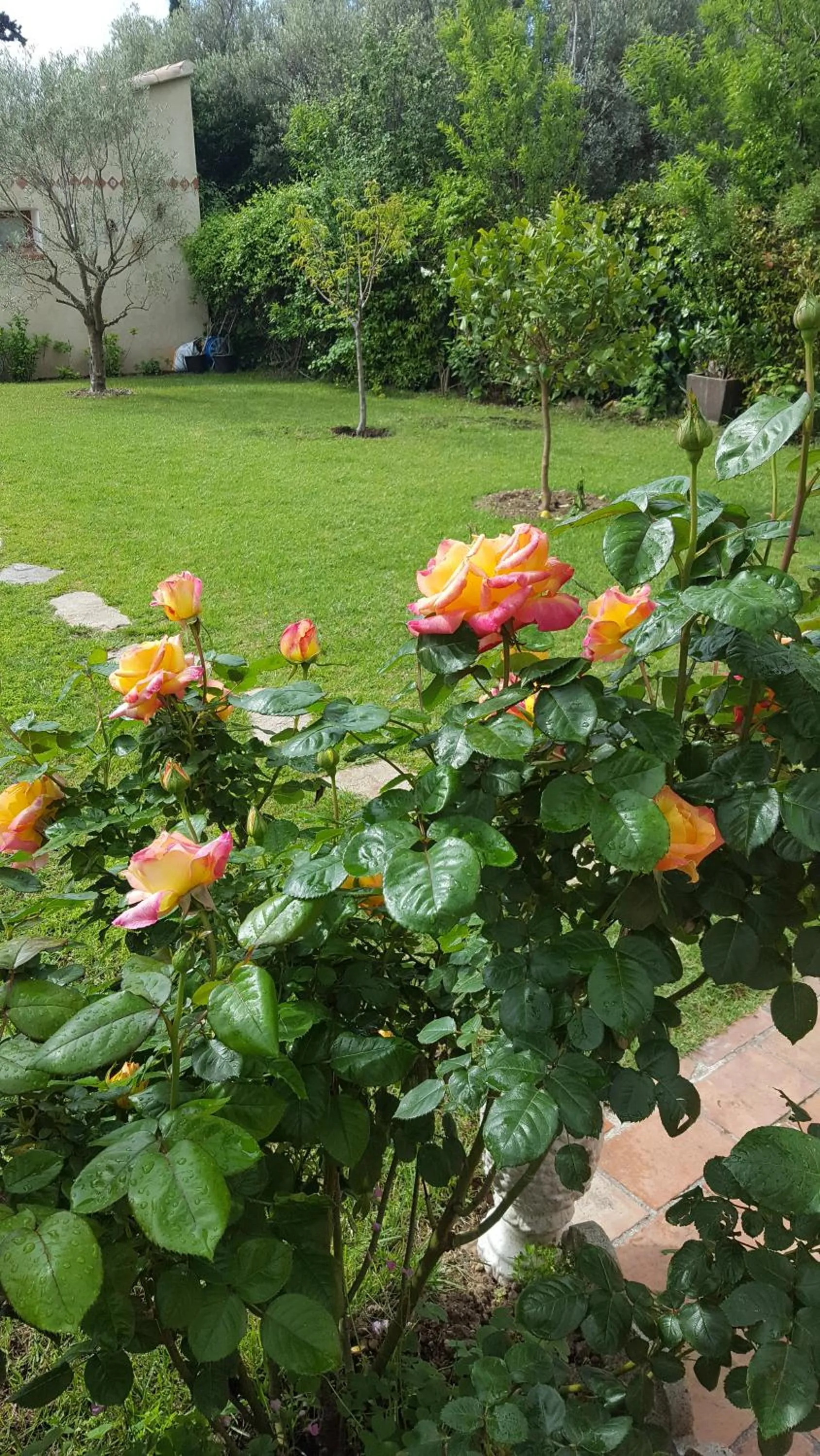 Chambre d'hôtes l'ipomée