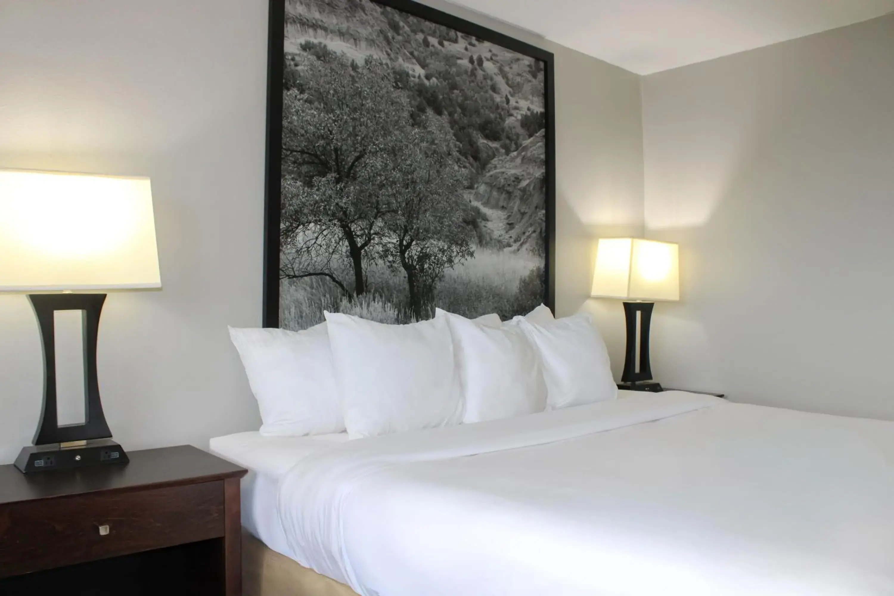 Queen Room - Non-Smoking in Super 8 by Wyndham Williston ND Queen Room - Non-Smoking in Super 8 by Wyndham Williston ND