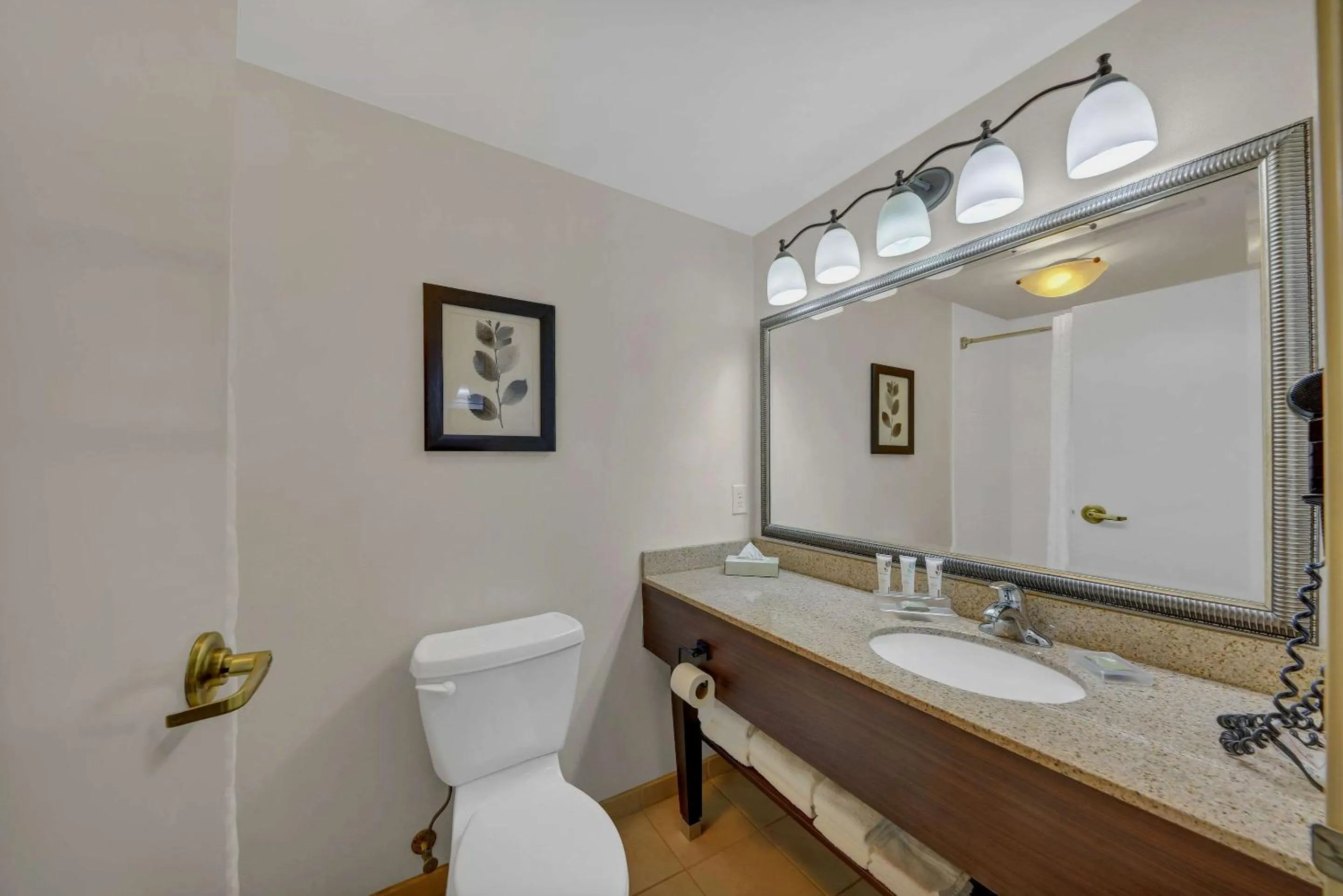 Bathroom in Country Inn & Suites by Radisson, Braselton, GA