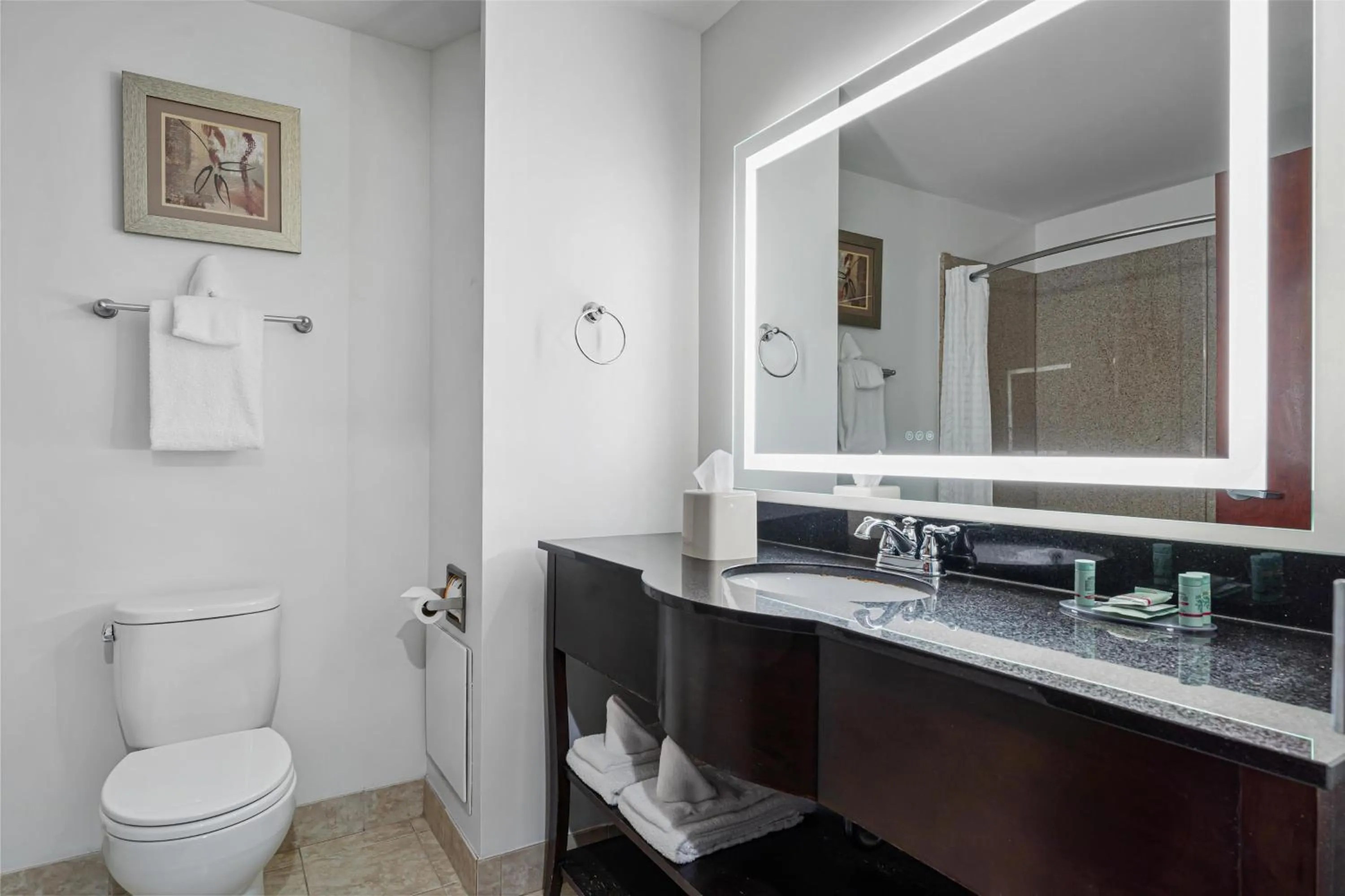 Bathroom in Best Western Garden Inn