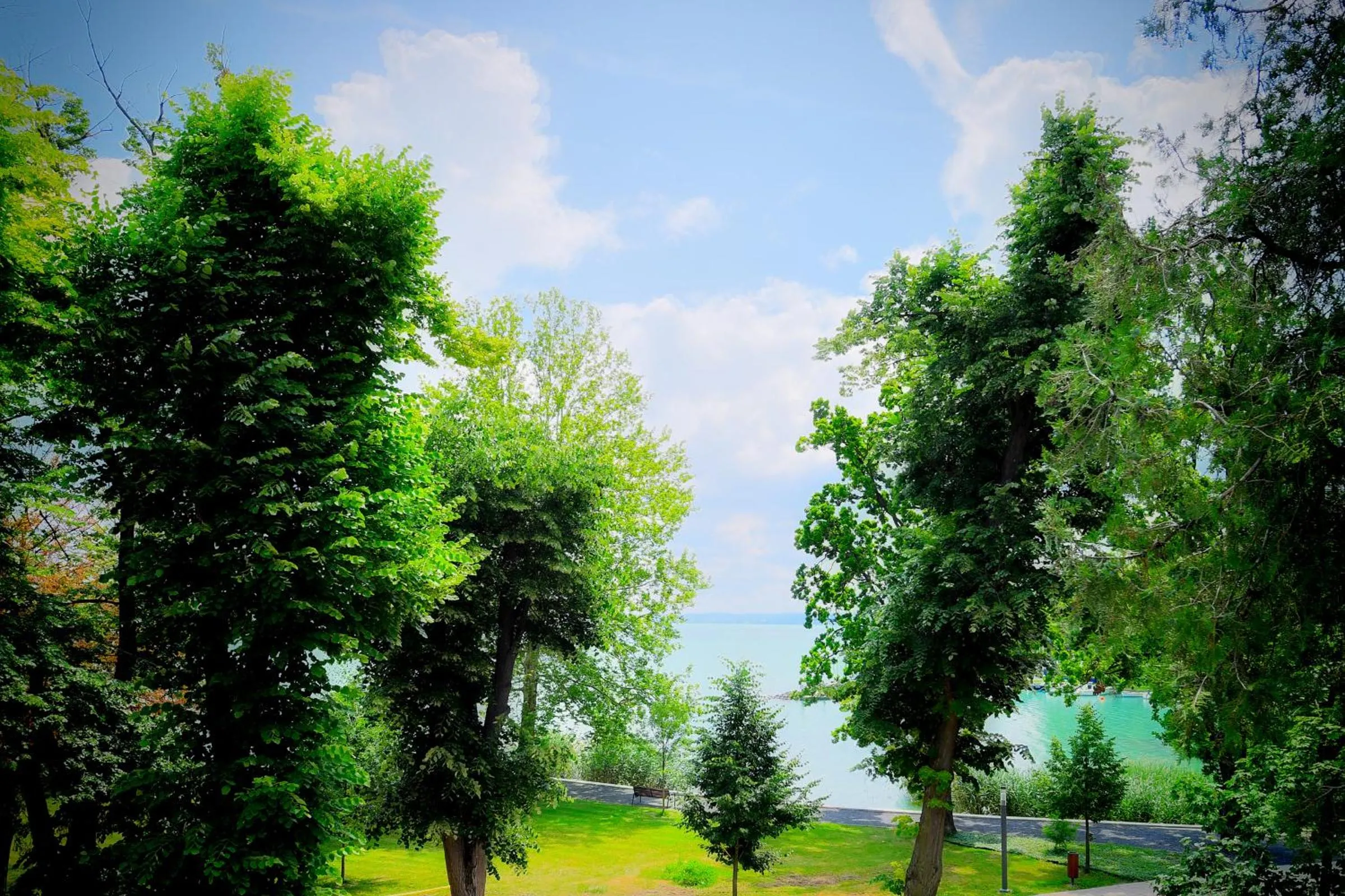 Garden in Oliver Lux