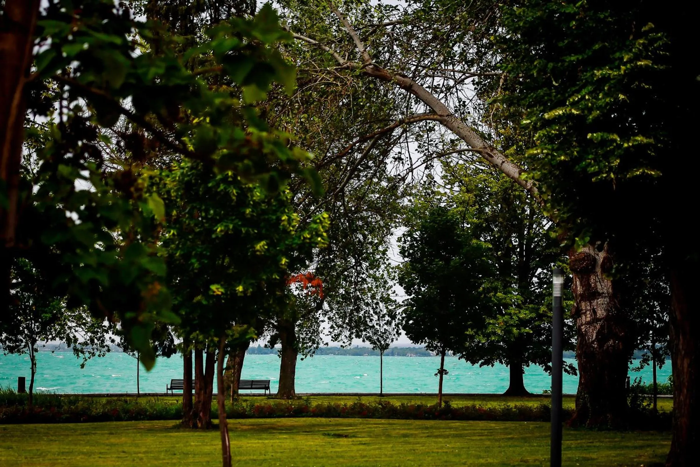 Garden in Oliver Lux