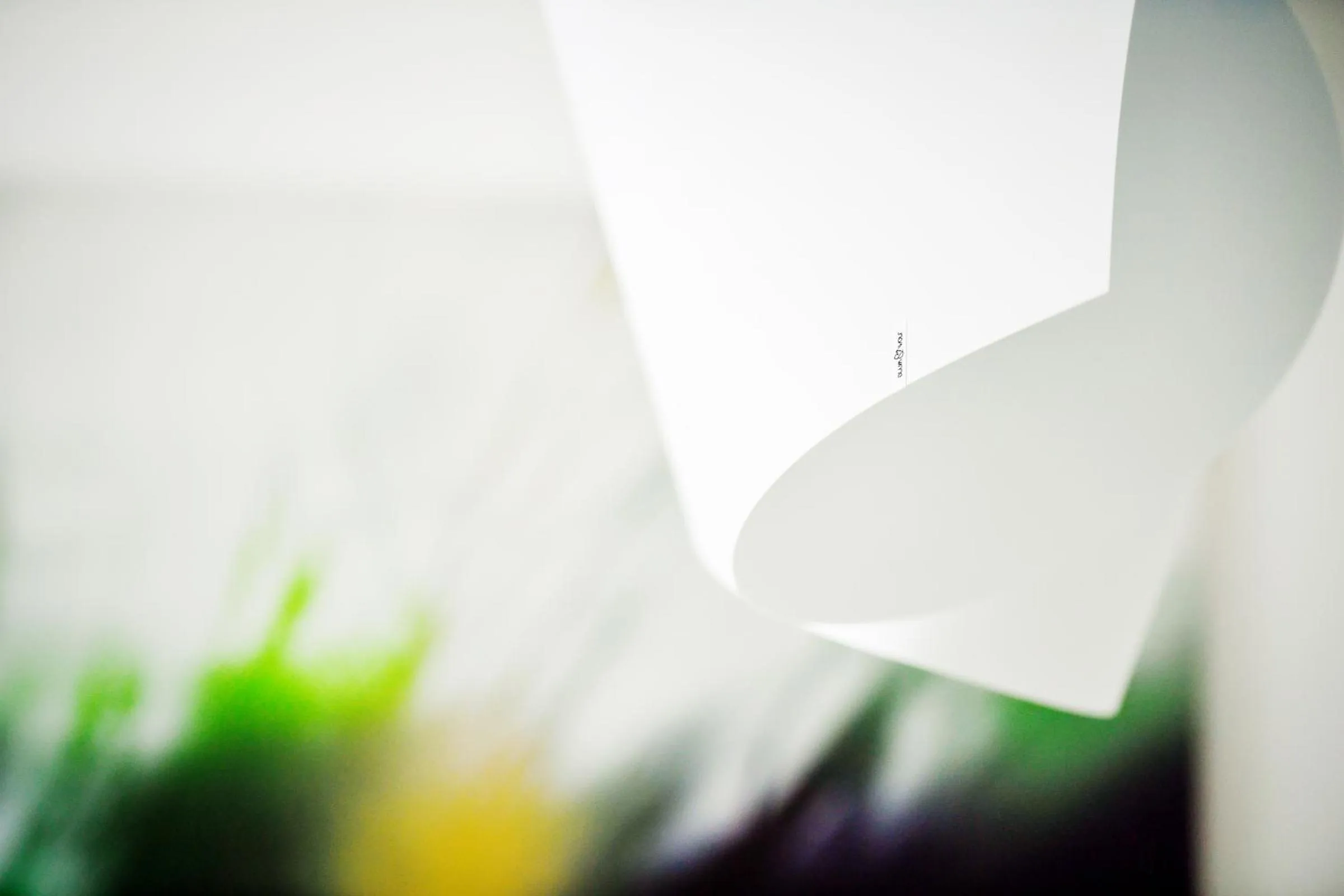 Decorative detail in Oliver Lux