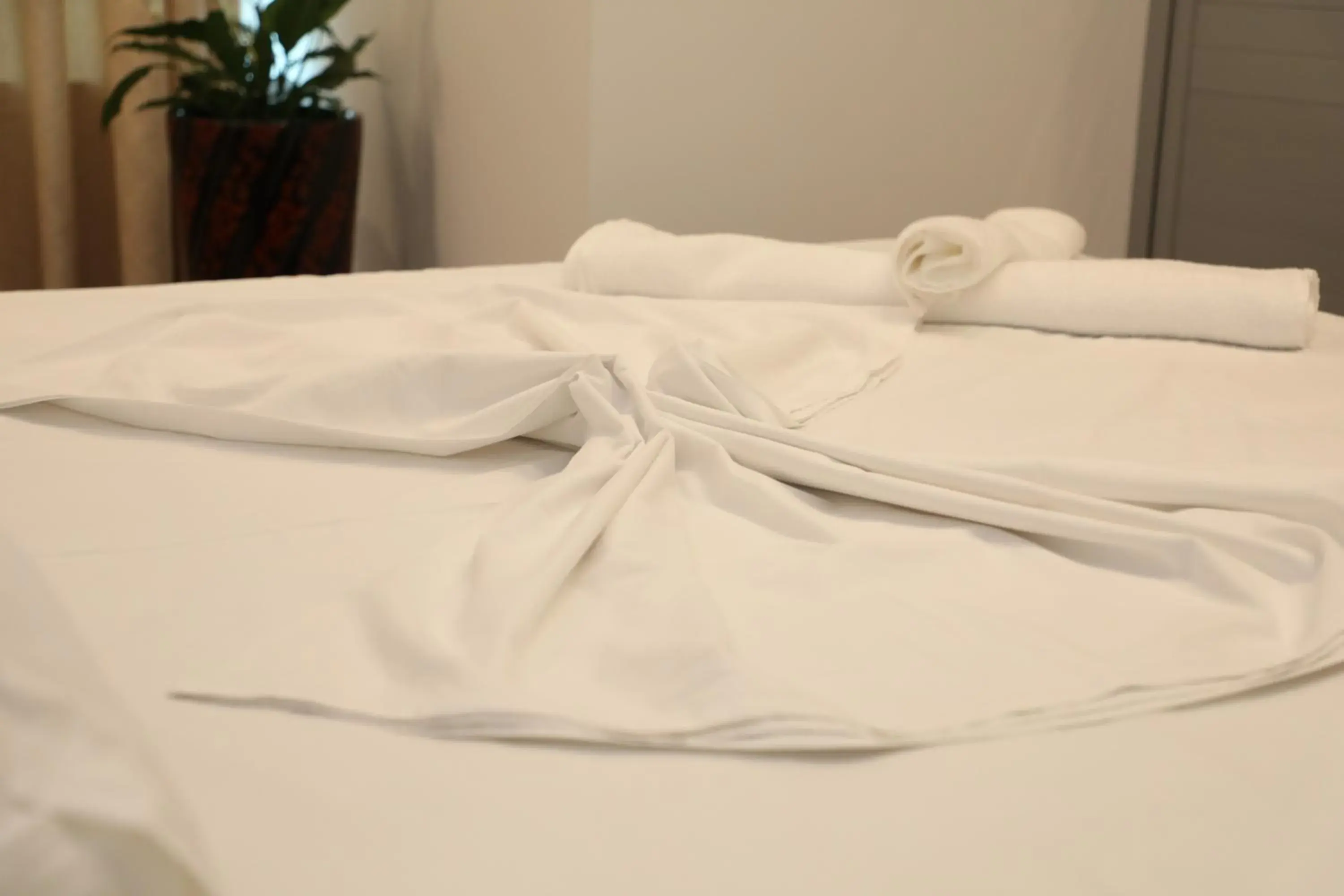 Double Room with Garden View in Hotel Aglon Double Room with Garden View in Hotel Aglon