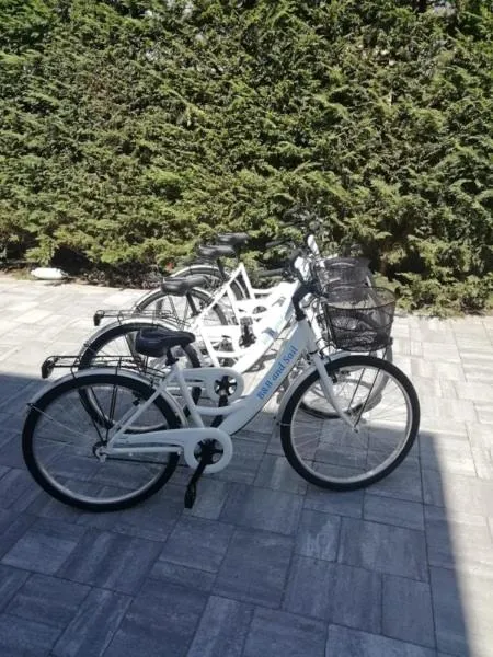 Activities in B&B and Sail